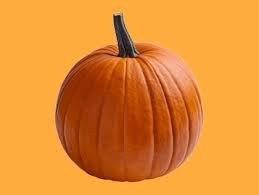 Hey Little Pumpkin by Zoë Moskal