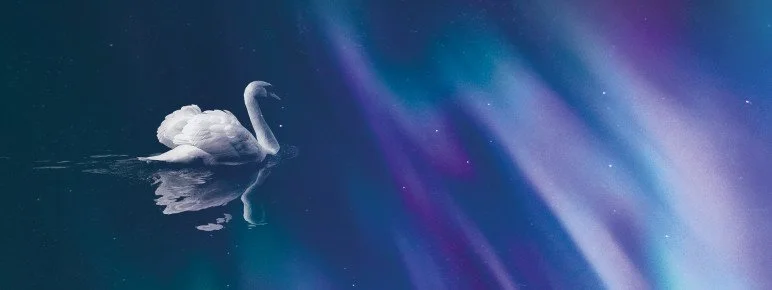 Scottish Chamber Orchestra: Northern Lights with Joseph Swensen