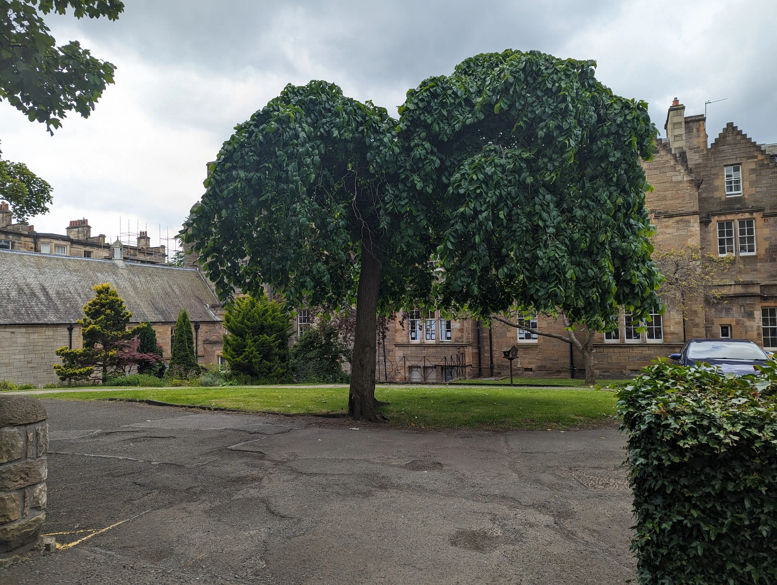 St Mary’s Music School: Summer Concert
