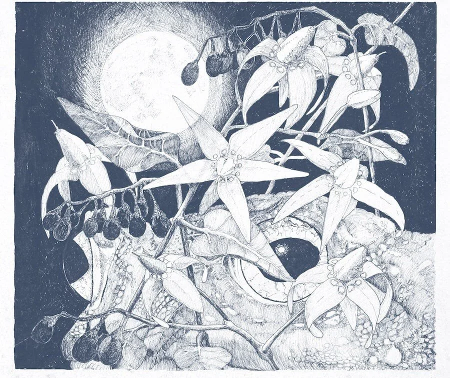 The Furrow Collective