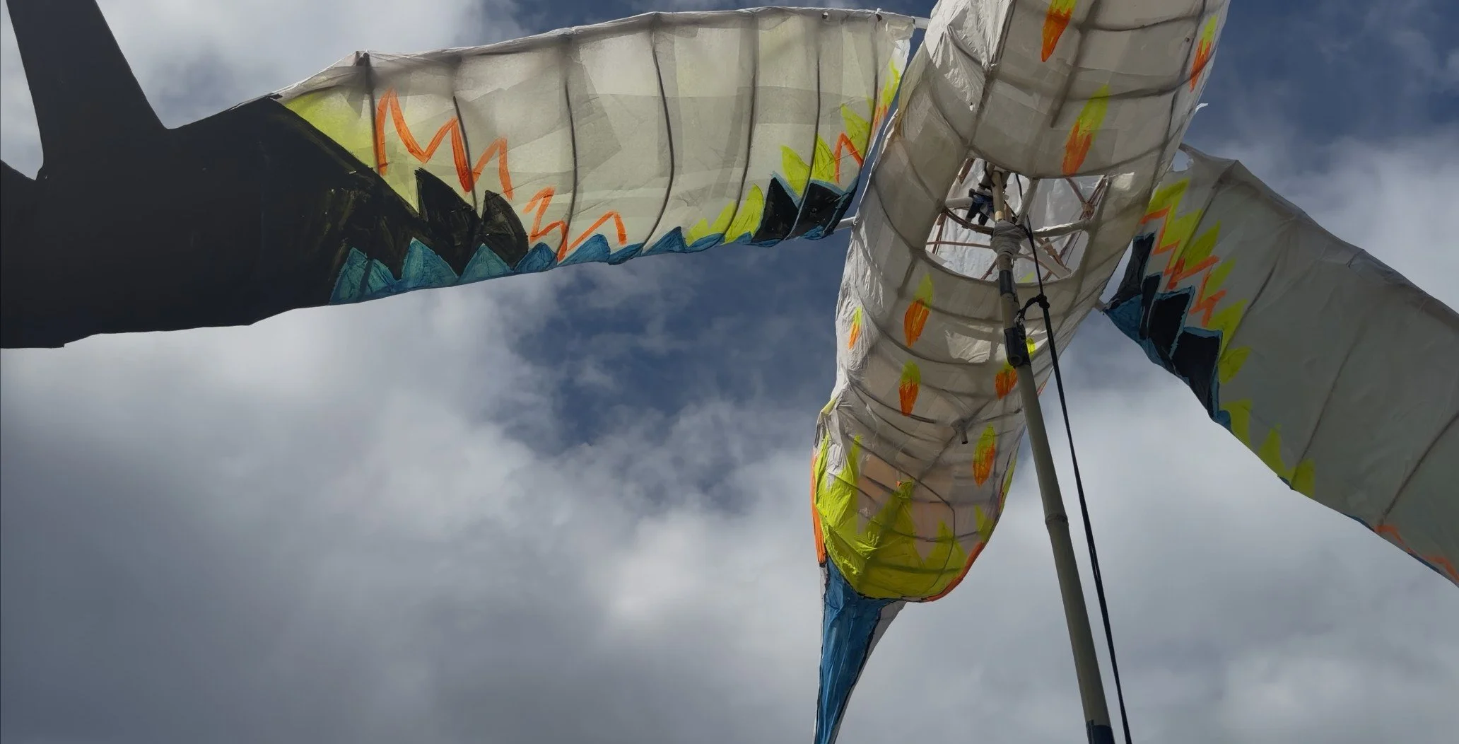 Fringe by the Sea: Launch and Sula Bassana