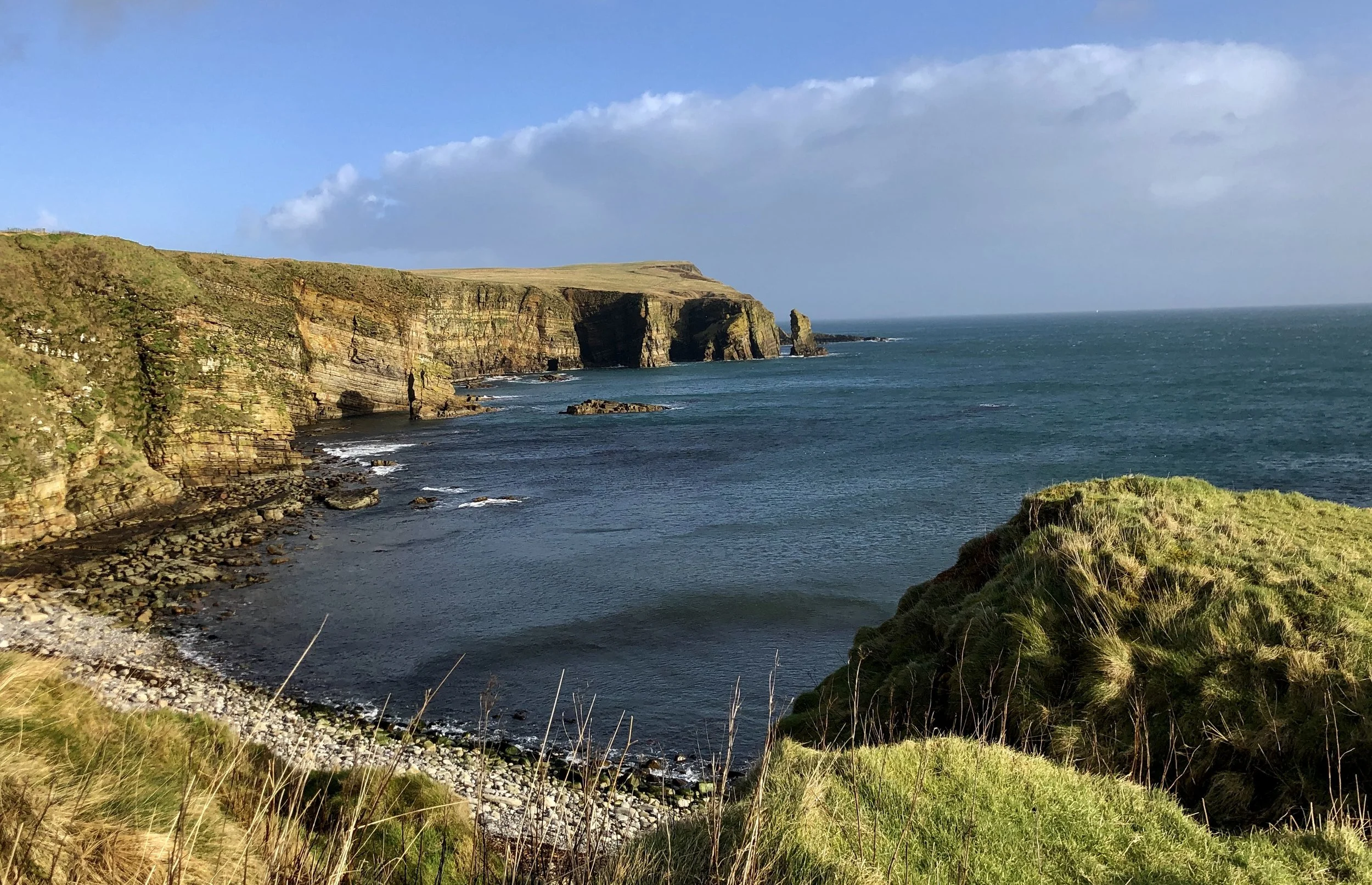 Fringe by the Sea: Recomposing Earth
