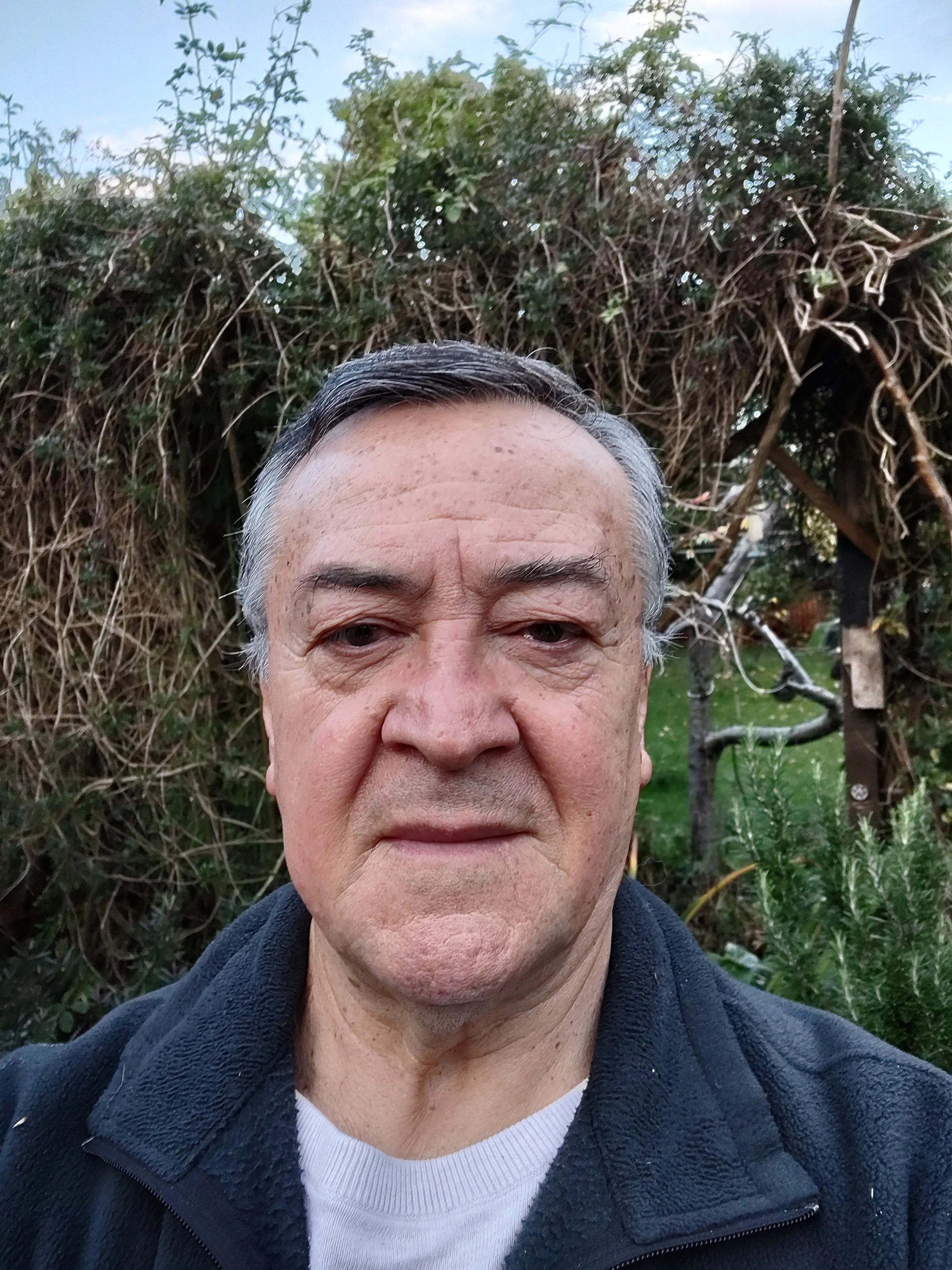 Julio Rogelio Viteri Ungaretti