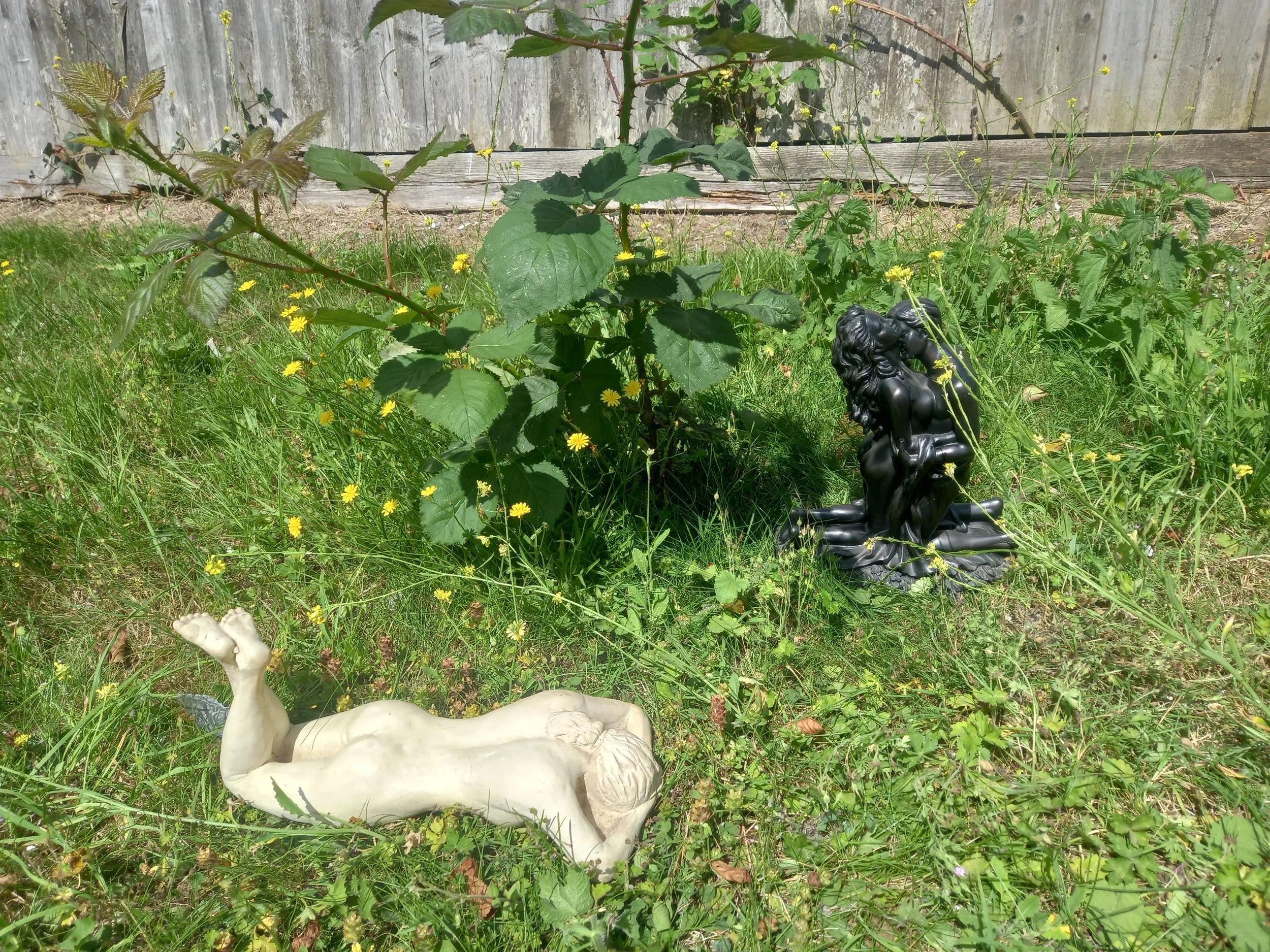 20260705_102923.jpg
