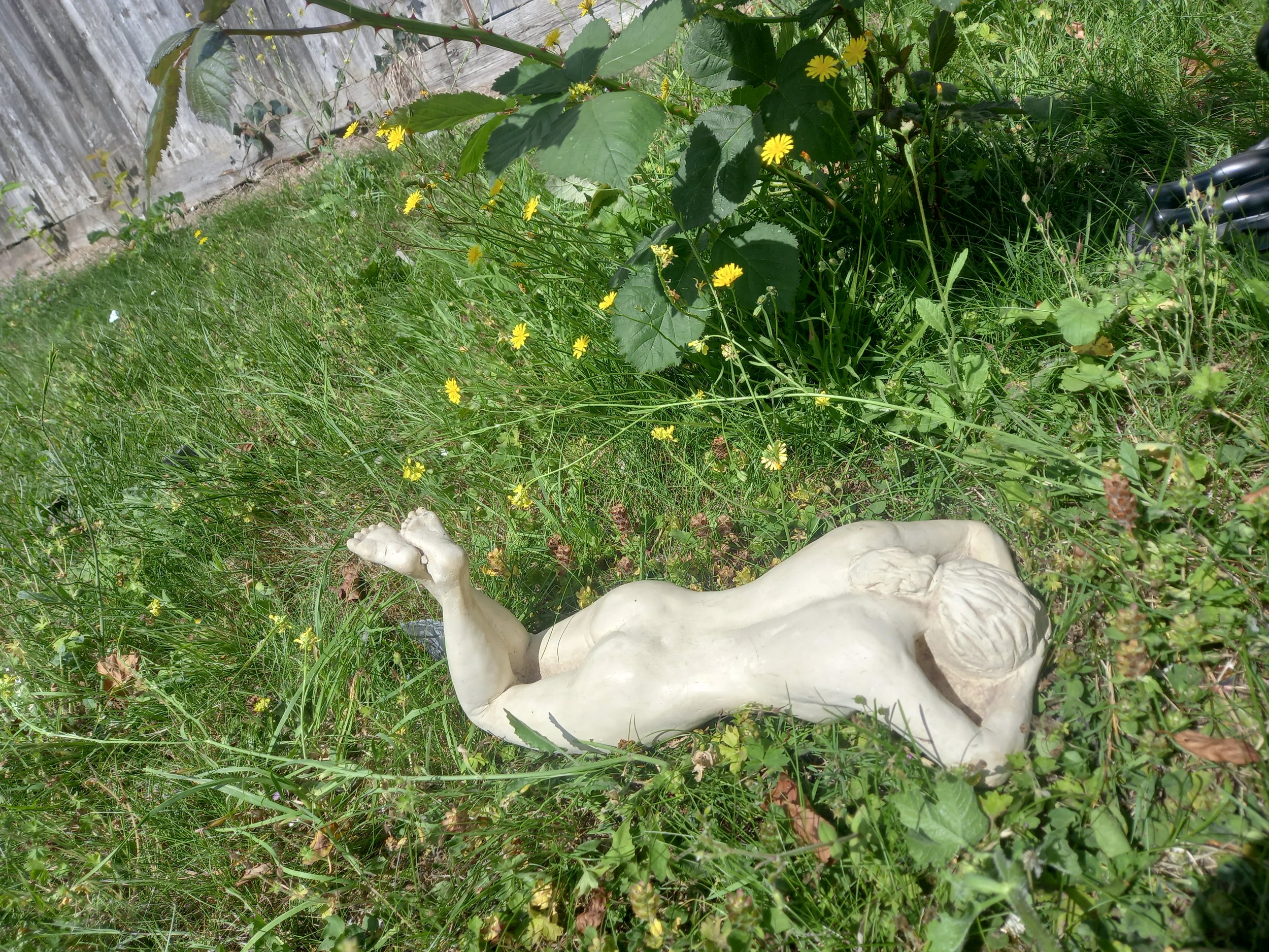 20260705_102952.jpg
