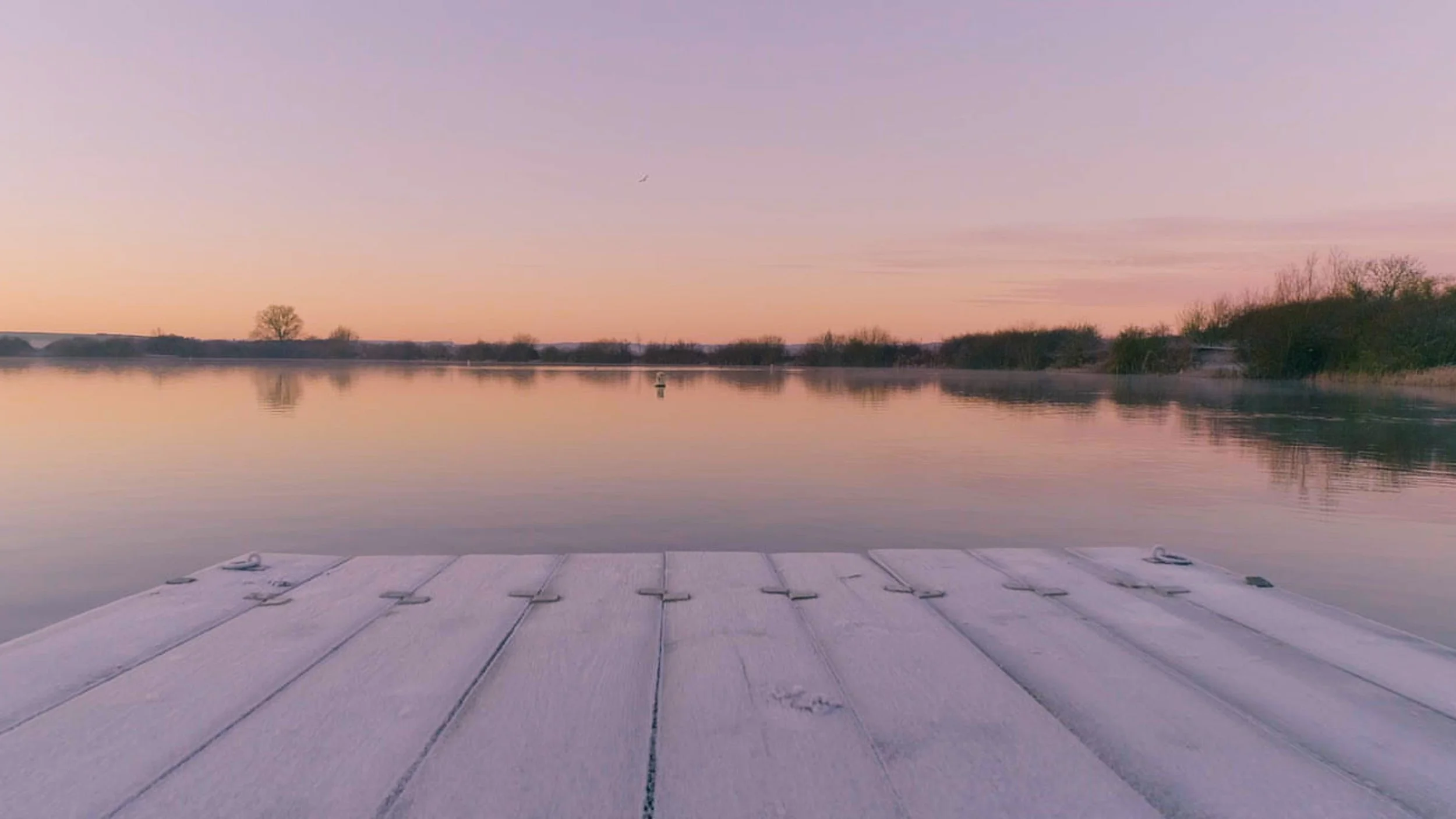The Winter Swim — Christian Trampenau Photographer
