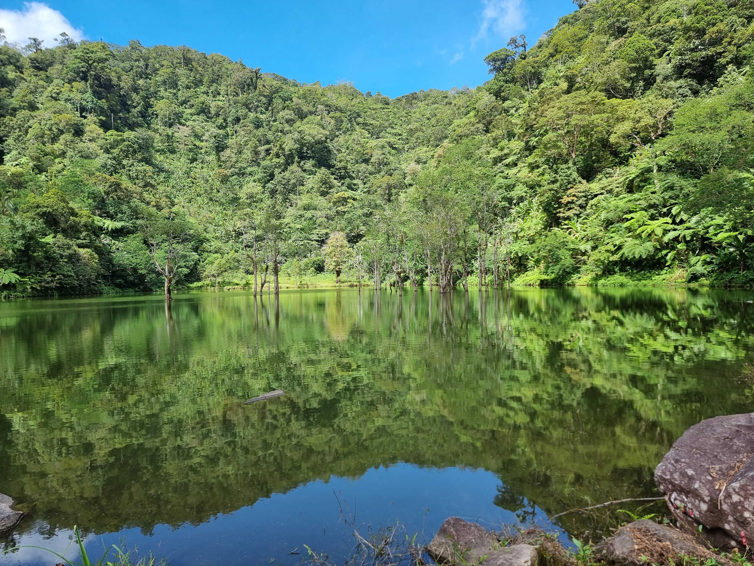 20240310_095411 (1).jpg