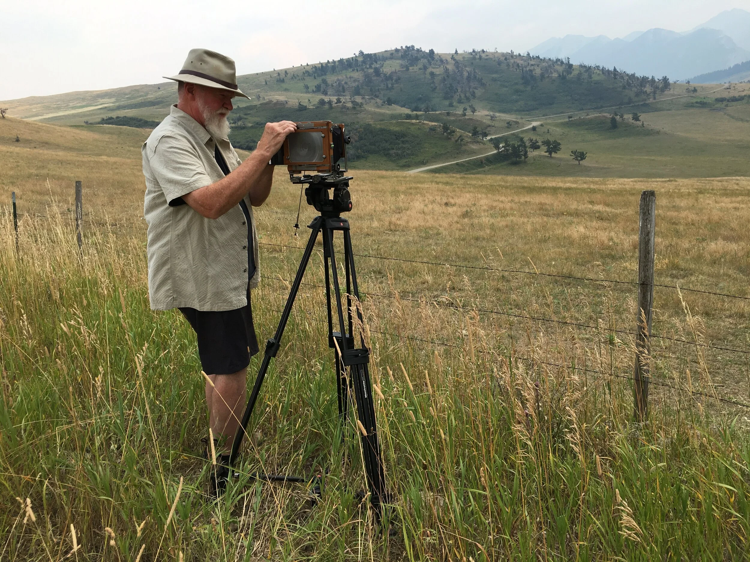 It’s a Photo Safari !