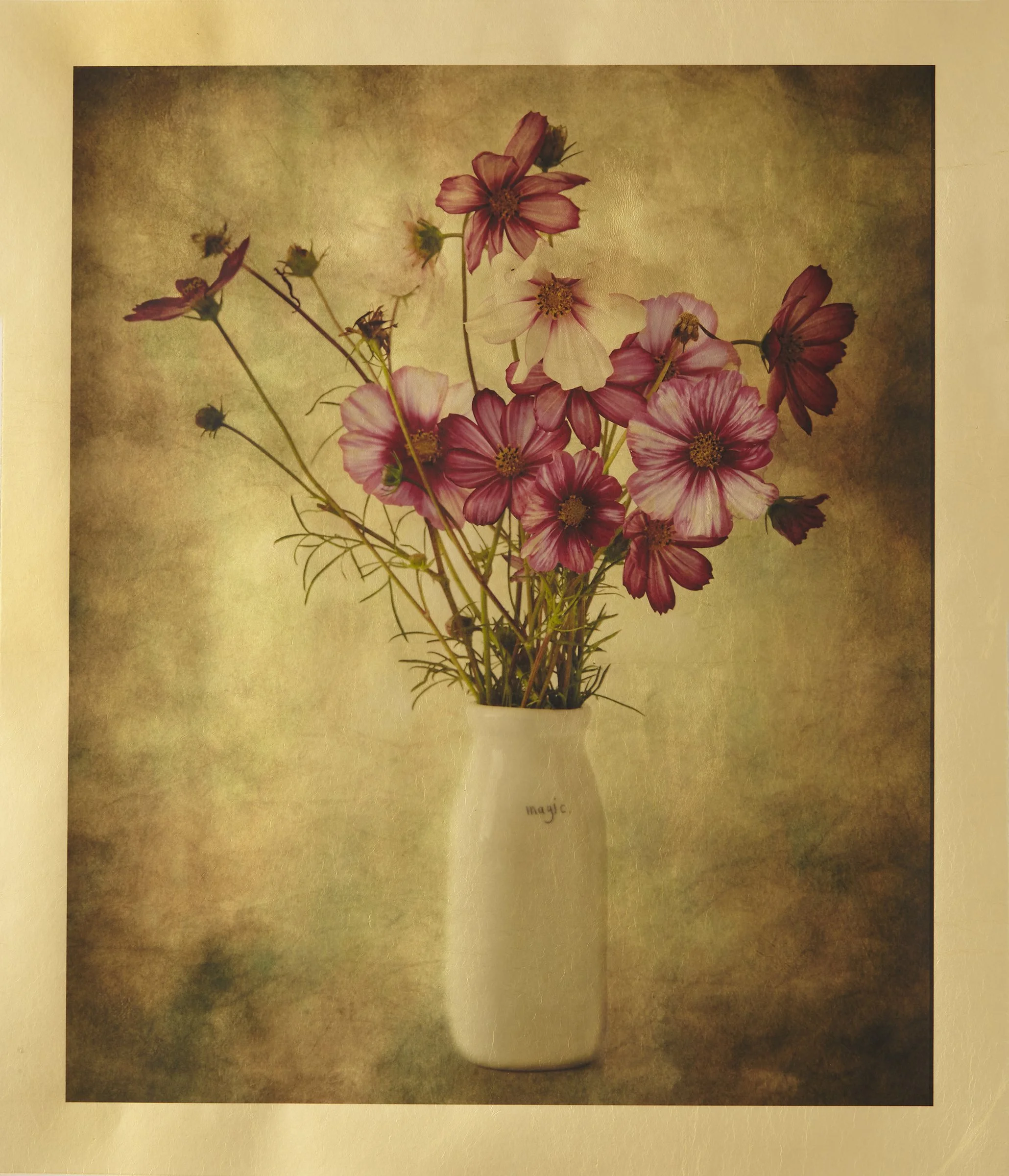 Finding Beauty Through Handmade Photography: The Gilded Vellum Series