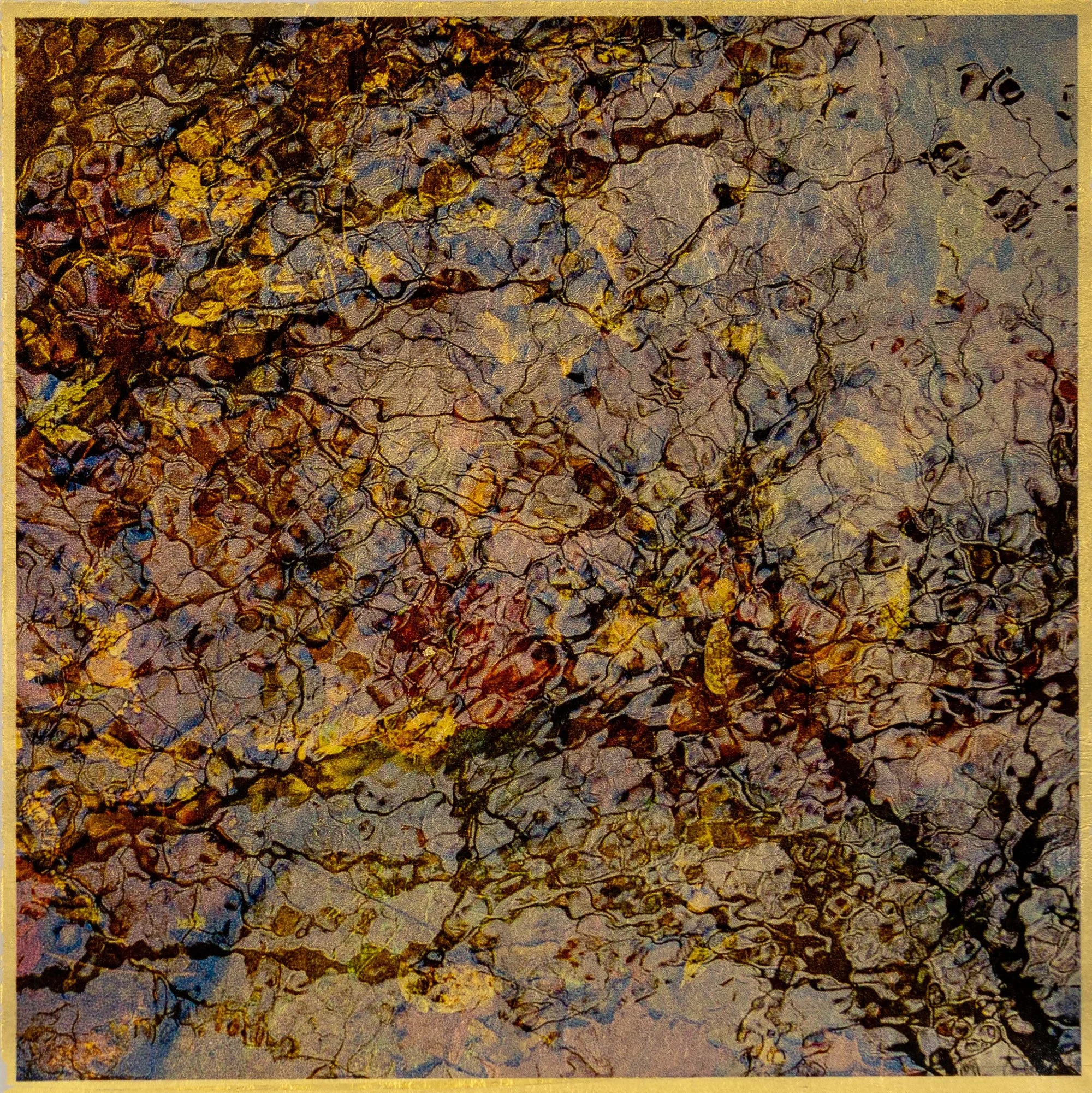 Bourne_Leaves in water.jpg