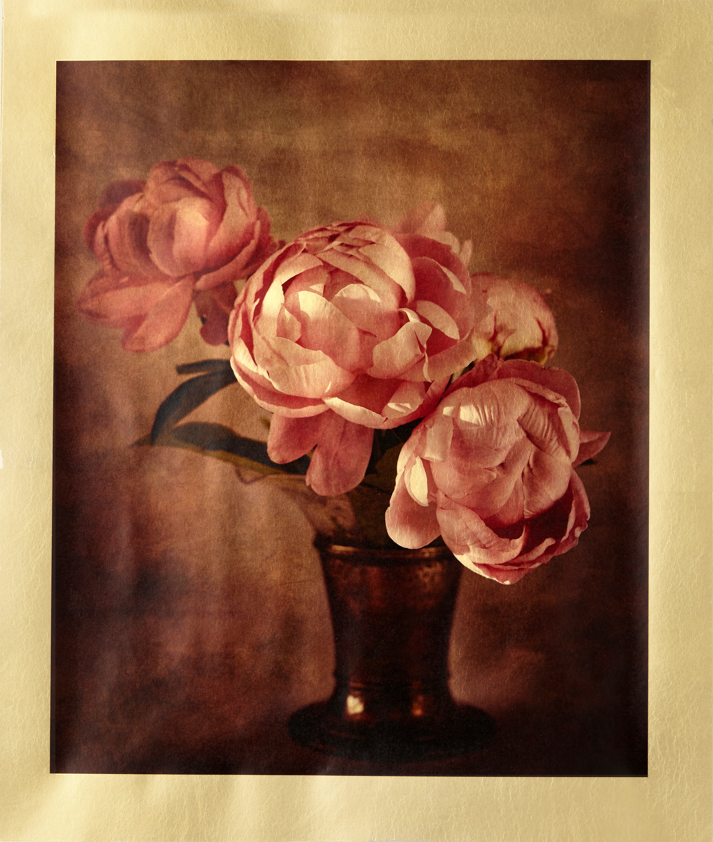 Luminous Pink Peony — pink peonies in an antique crystal flute with sterling silver base, gilded vellum print with Dutch gold leaf, handmade by Kevin Black, New Mexico