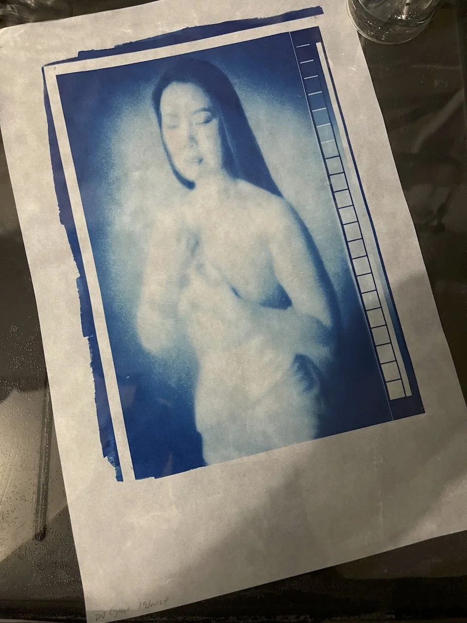 Additional Cyanotype Workshop Day