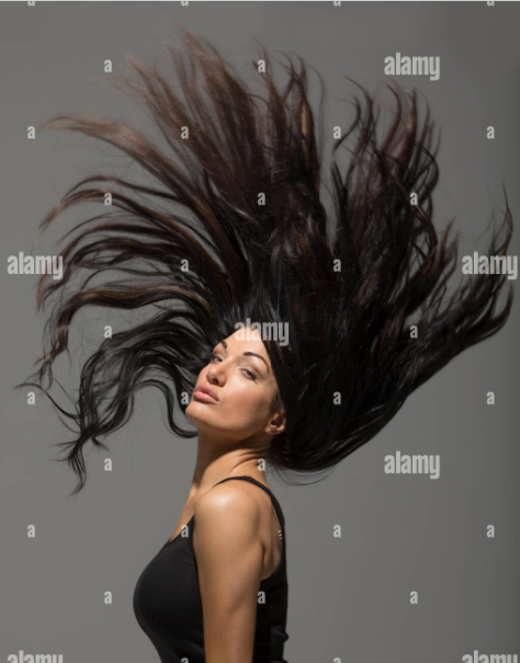 hairflip1.png