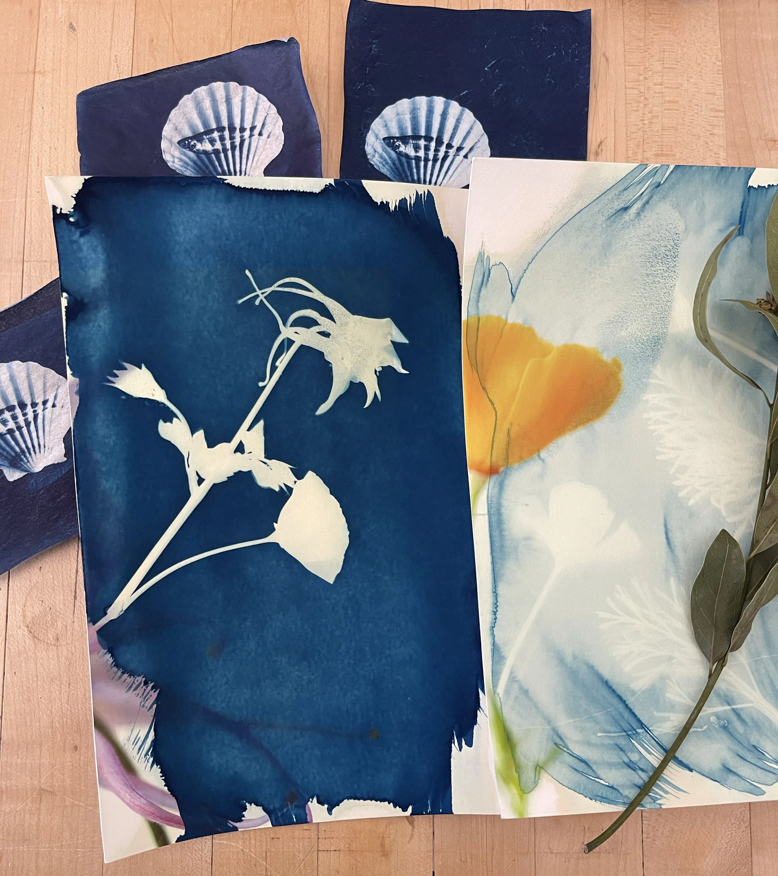 Cyanotype Workshop