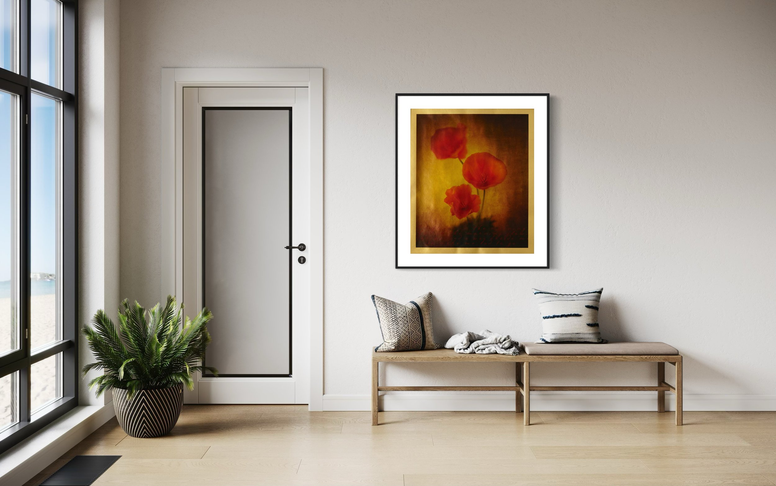 california poppy photograh.jpeg