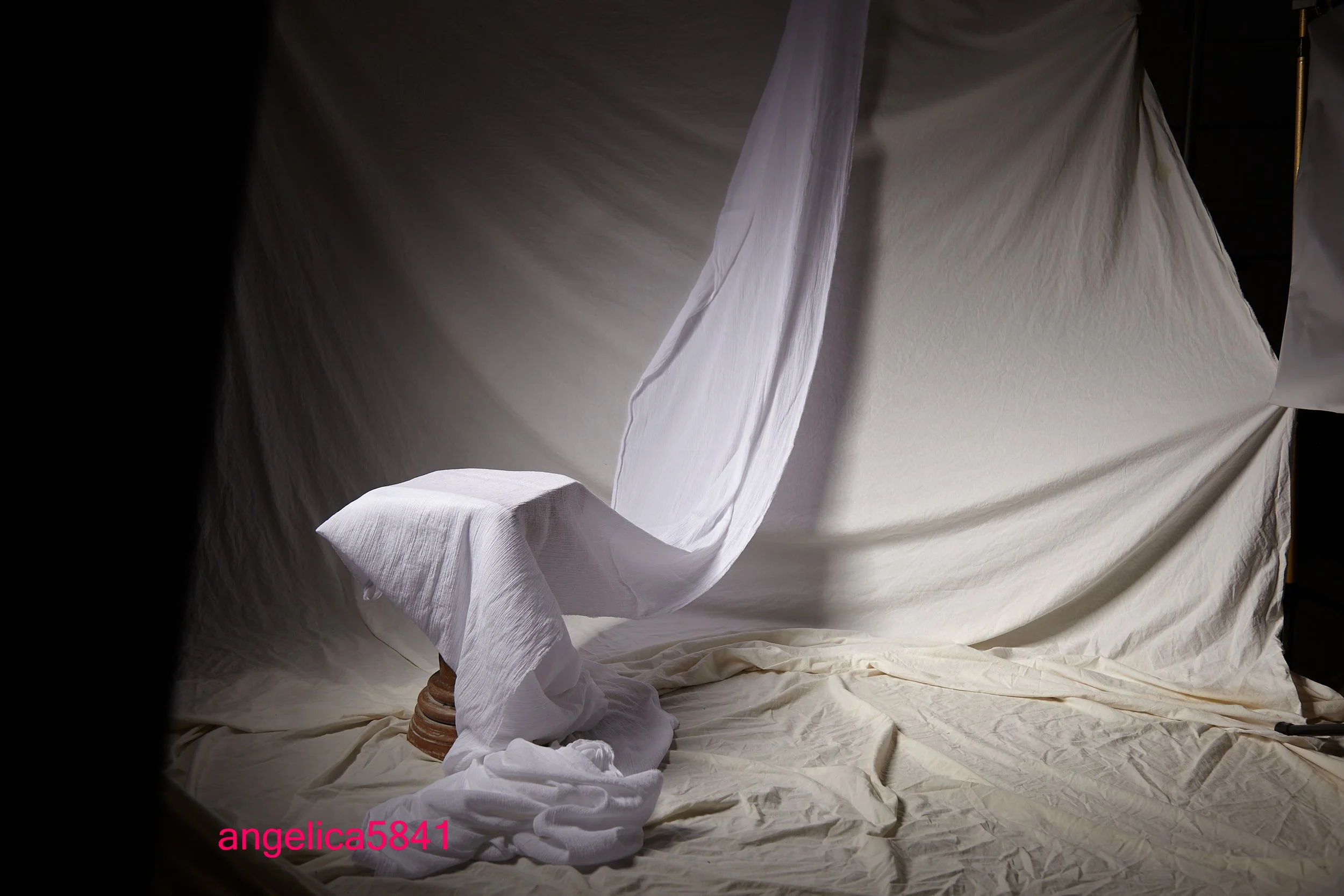 angelica5841.jpg