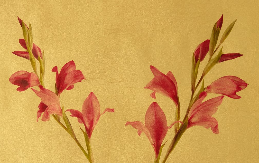 lush_detail.jpg