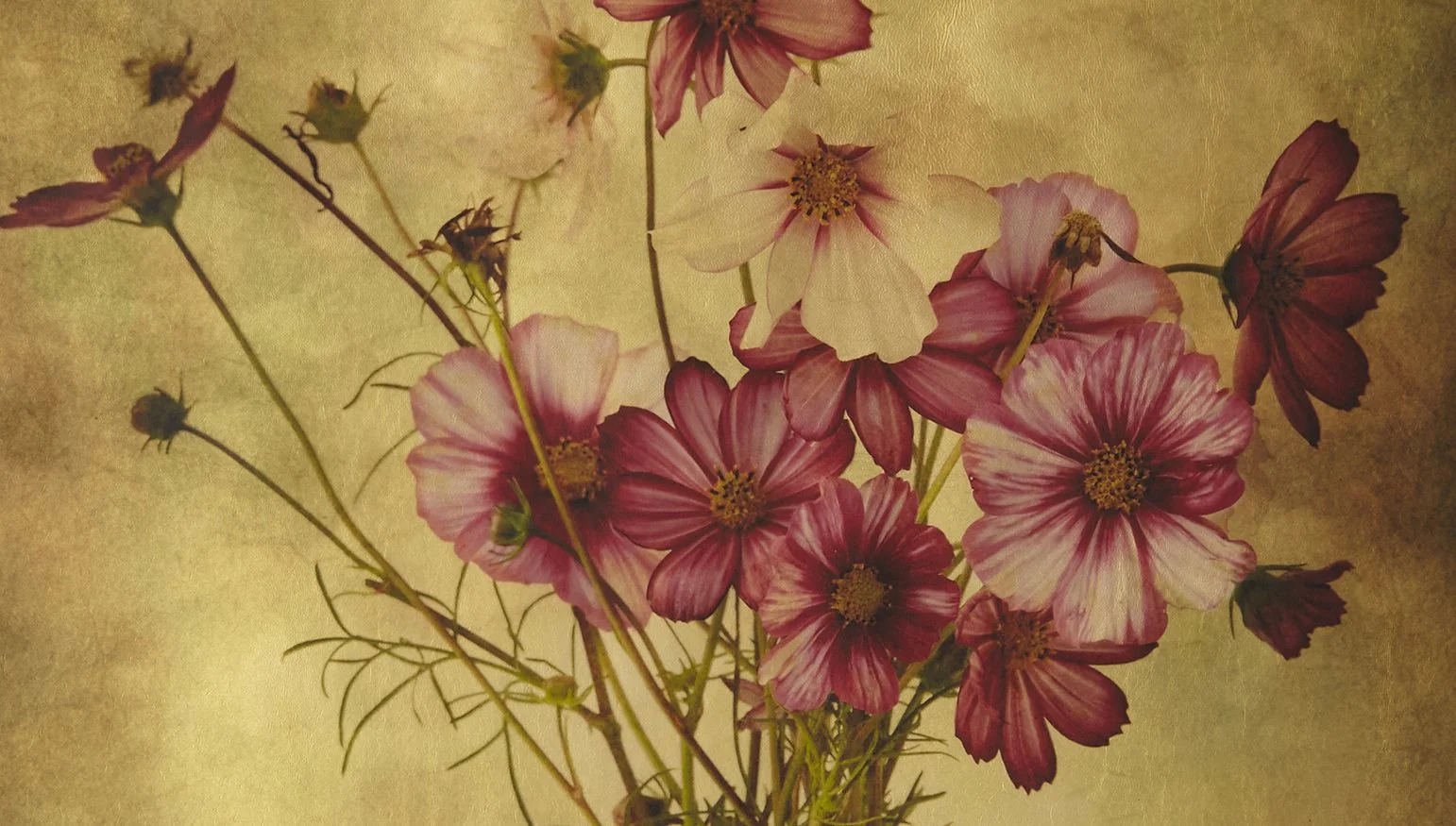 Detail of the off-white ceramic container reading "magic" in Cosmos, a gilded vellum print by Kevin Black