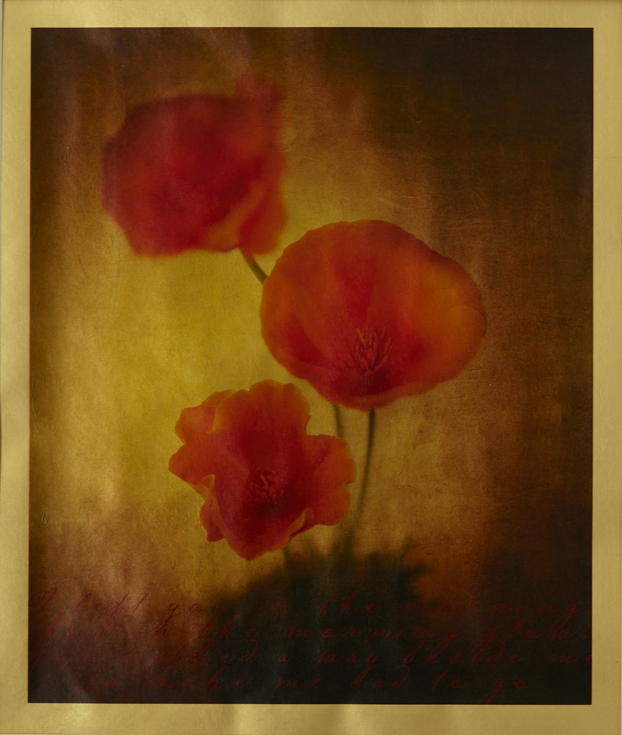 gildedCaliforniaPoppy.jpg