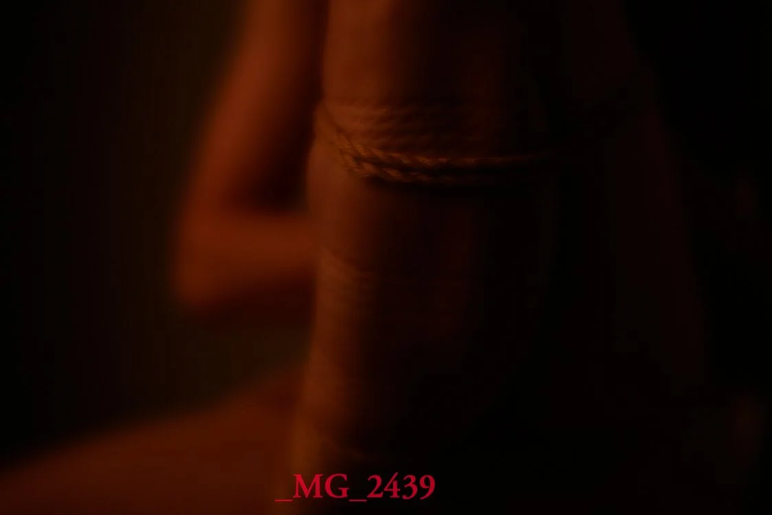 _MG_2439.jpg