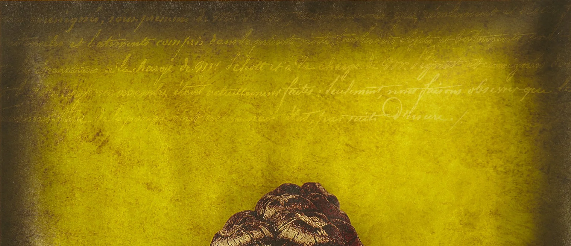 pine-cone-detail.jpg