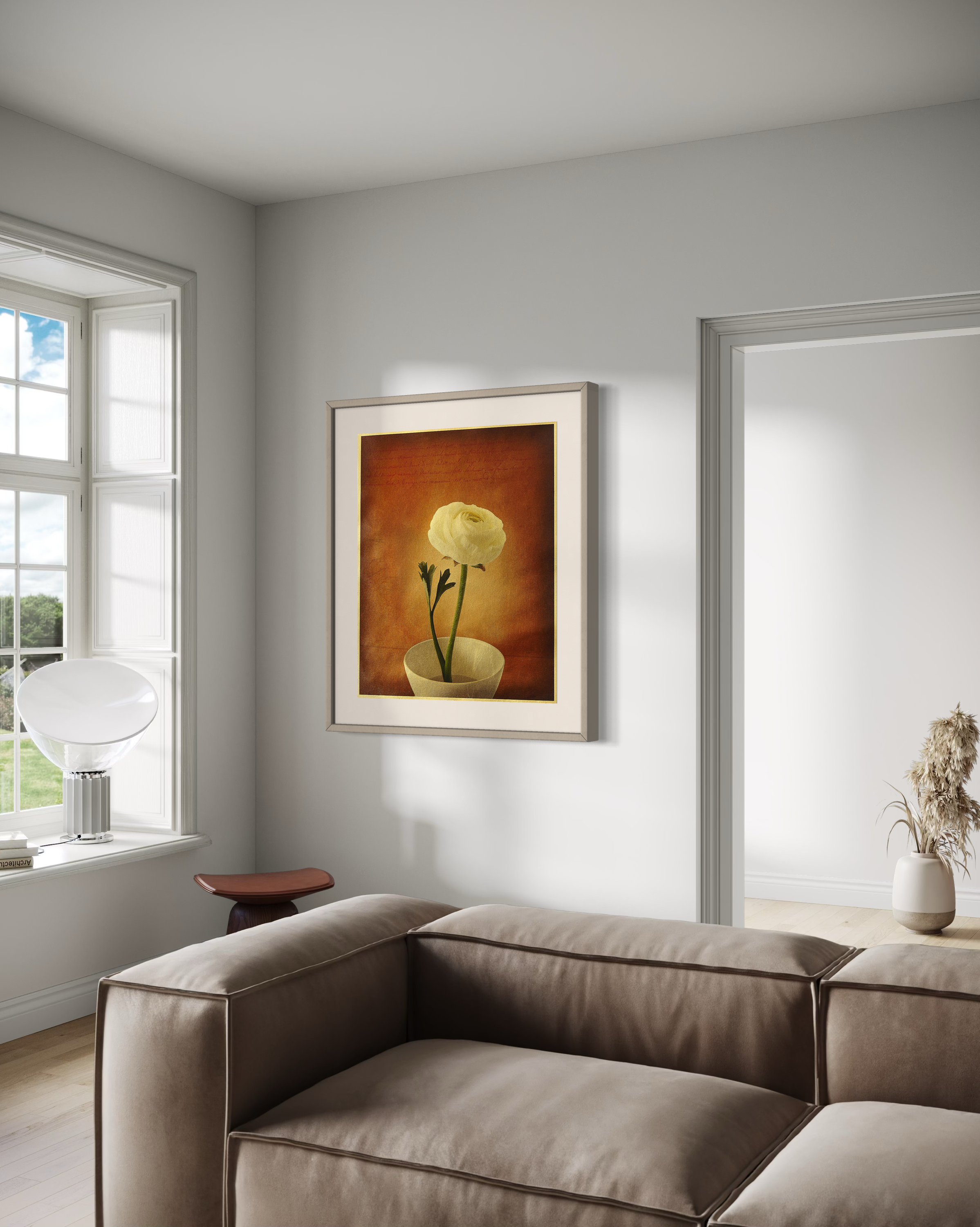 white ranunculus in room side.png