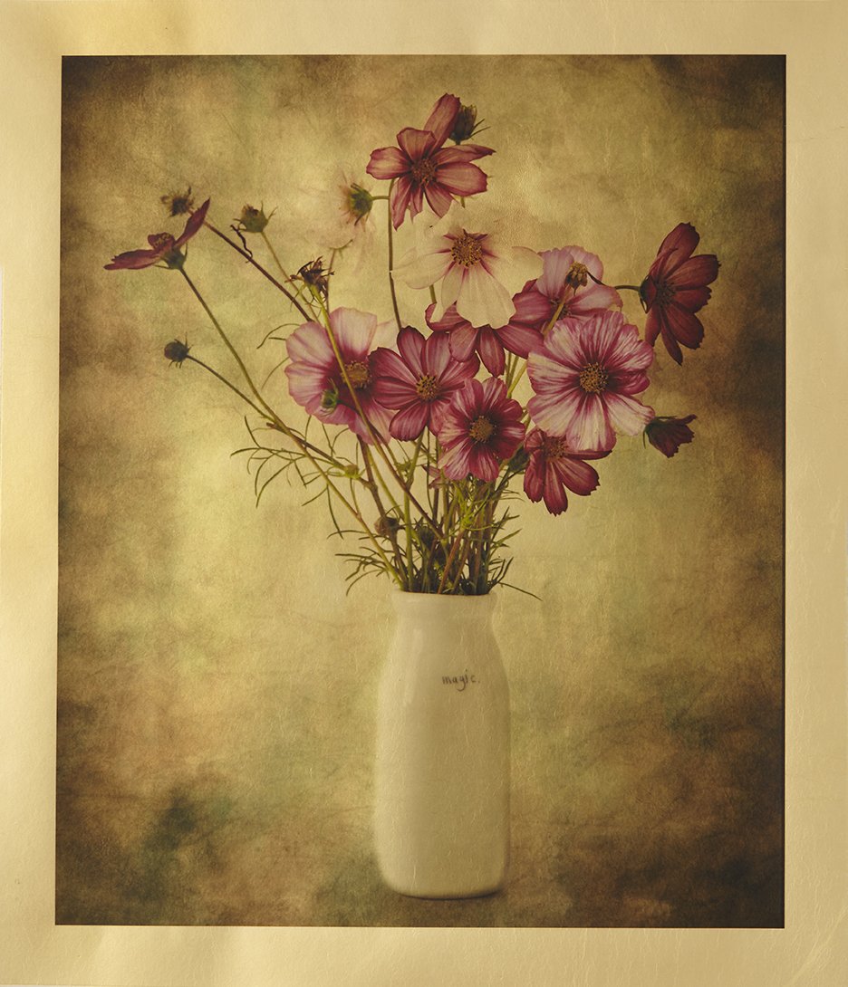 Luminous Cosmos Gilded Vellum
