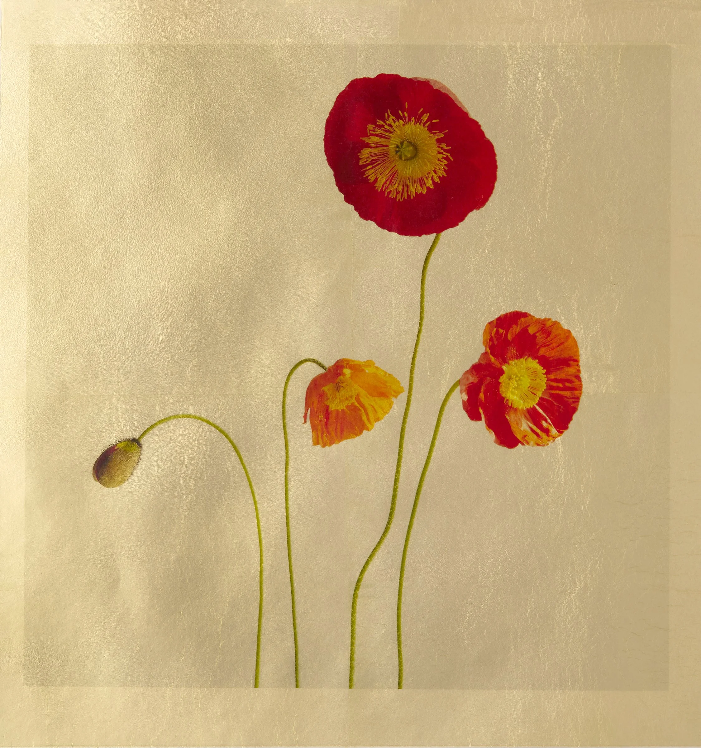 Jazz — Gilded Vellum Print