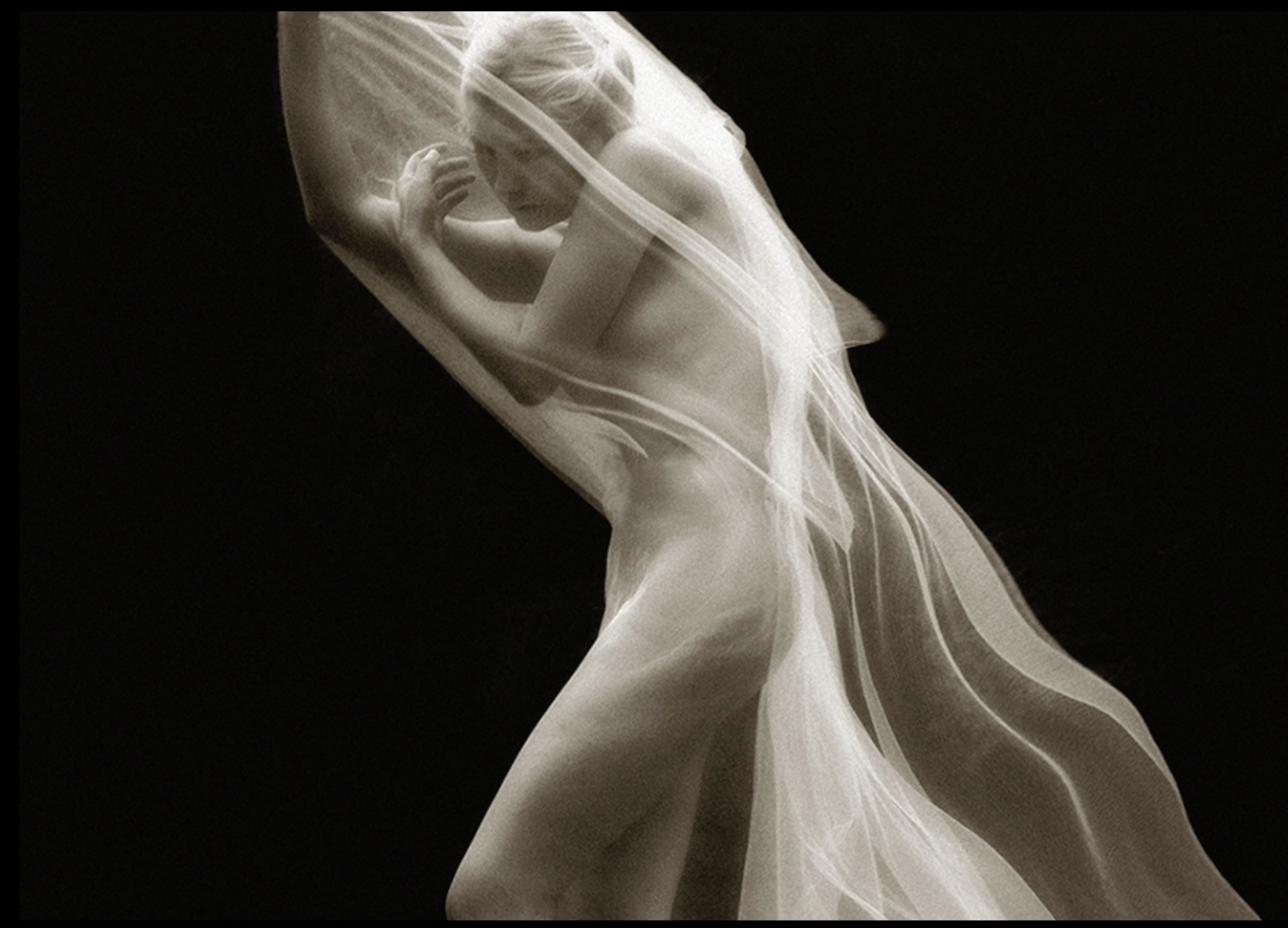 A delicate, translucent fabric sculpture or dress displayed against a black background, featuring flowing, layered strands and soft curves.
