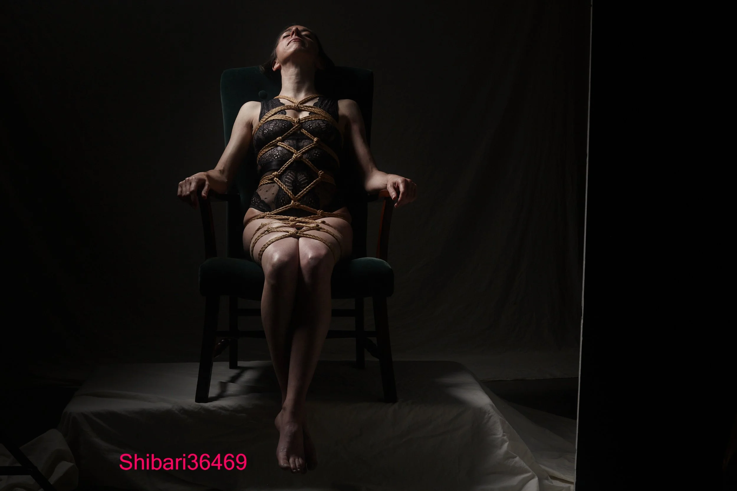 Shibari36469.jpg