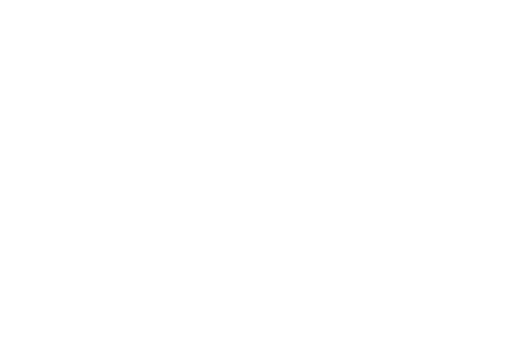 The Mill Market