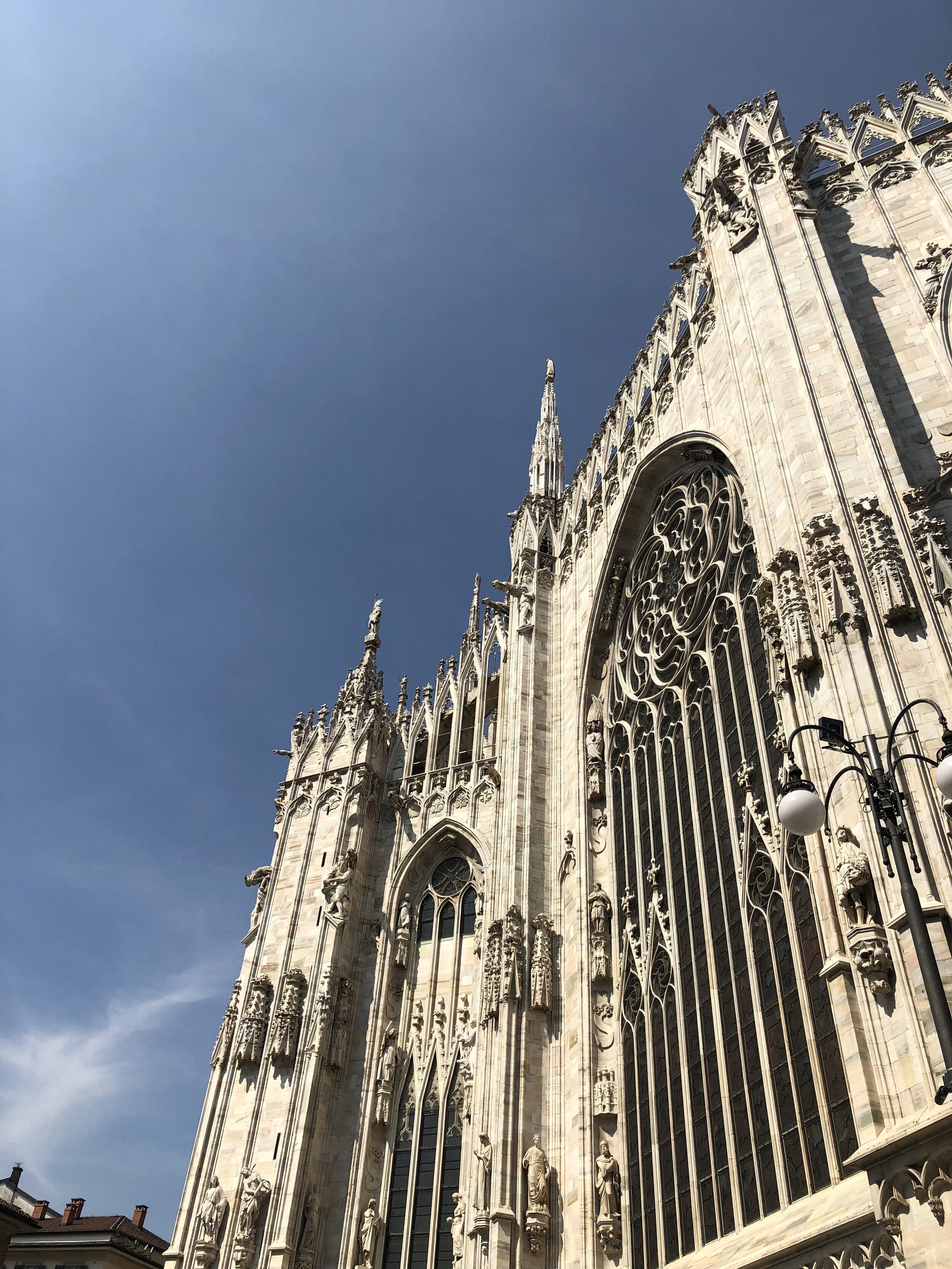 IMG_7300.jpeg