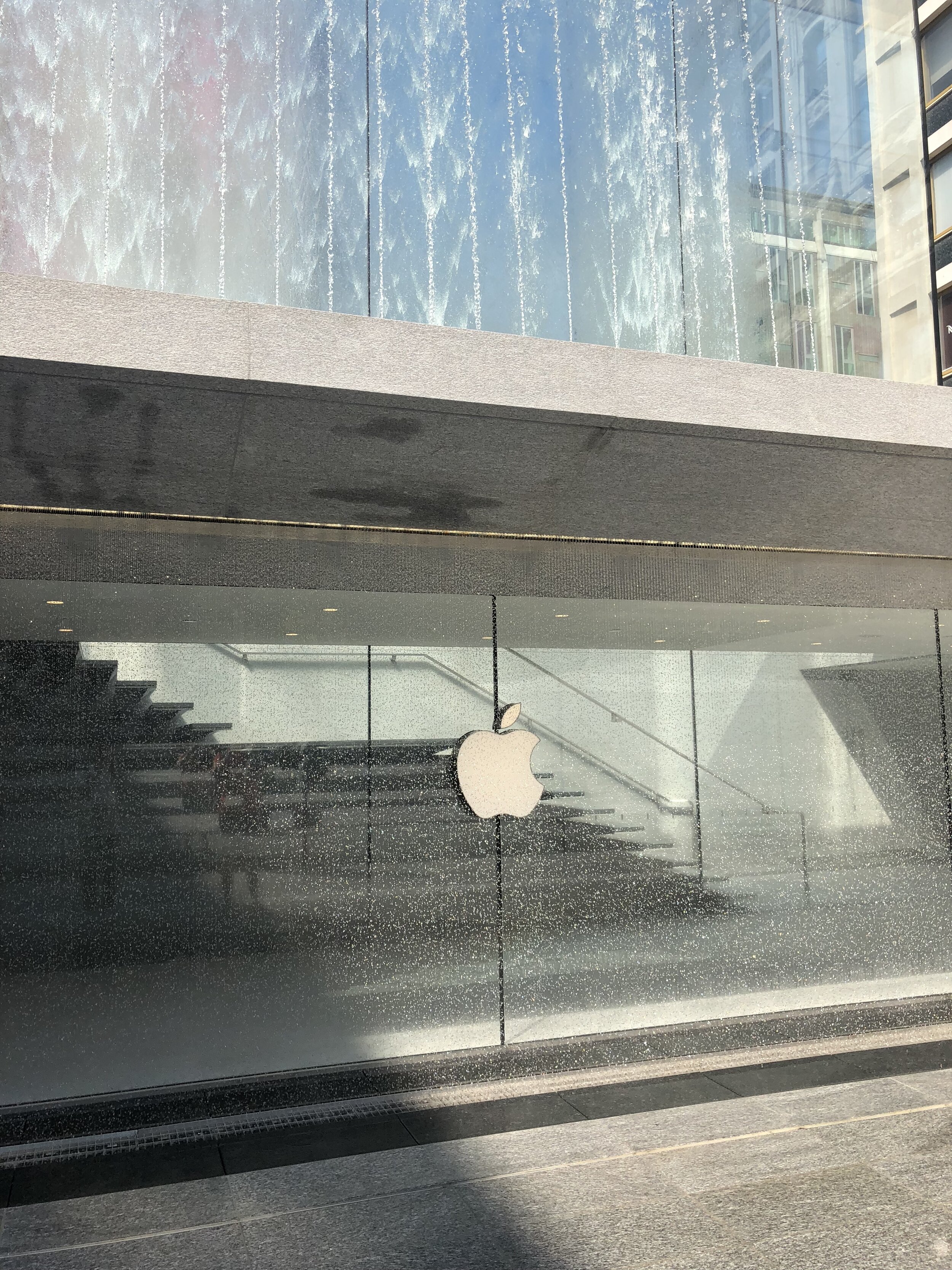 IMG_5965.jpeg