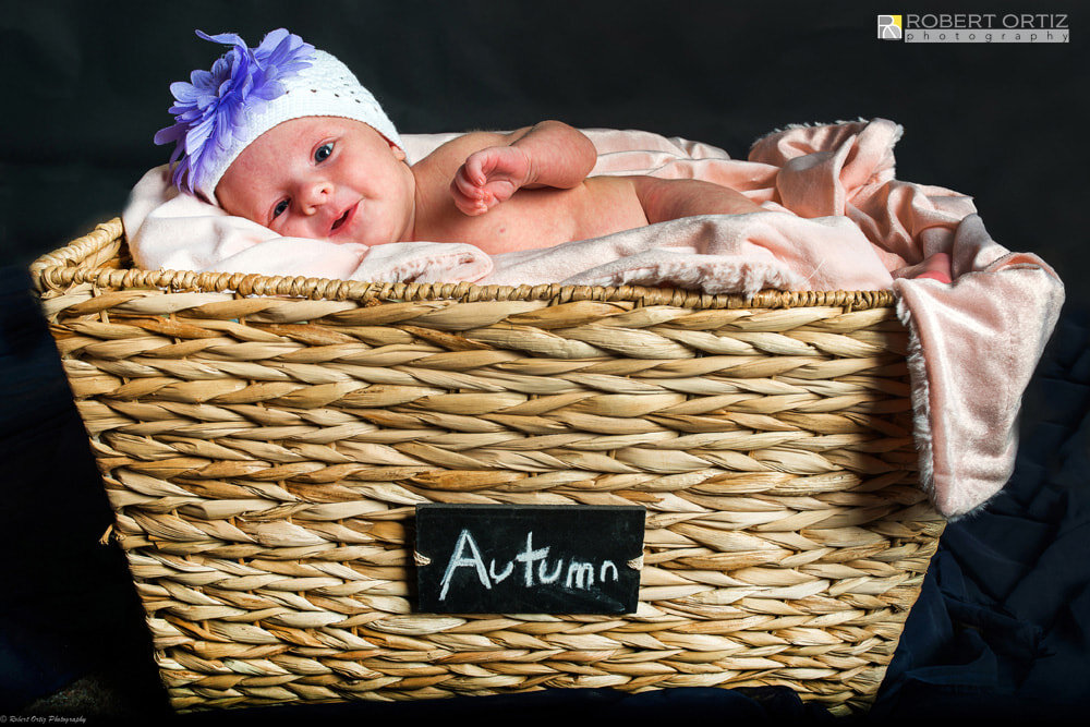 newborn-portrait-in-studio-nh_orig.jpg