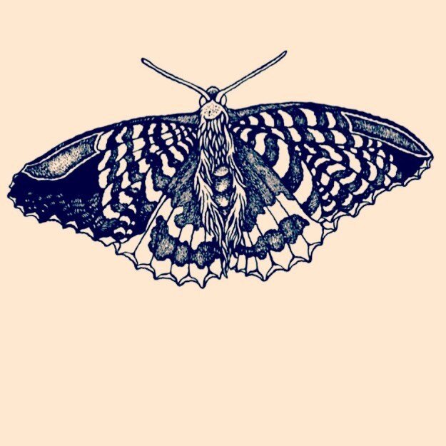 Mirrorflower website now live. May the moths fly. 
https//www.mirrorflower.org