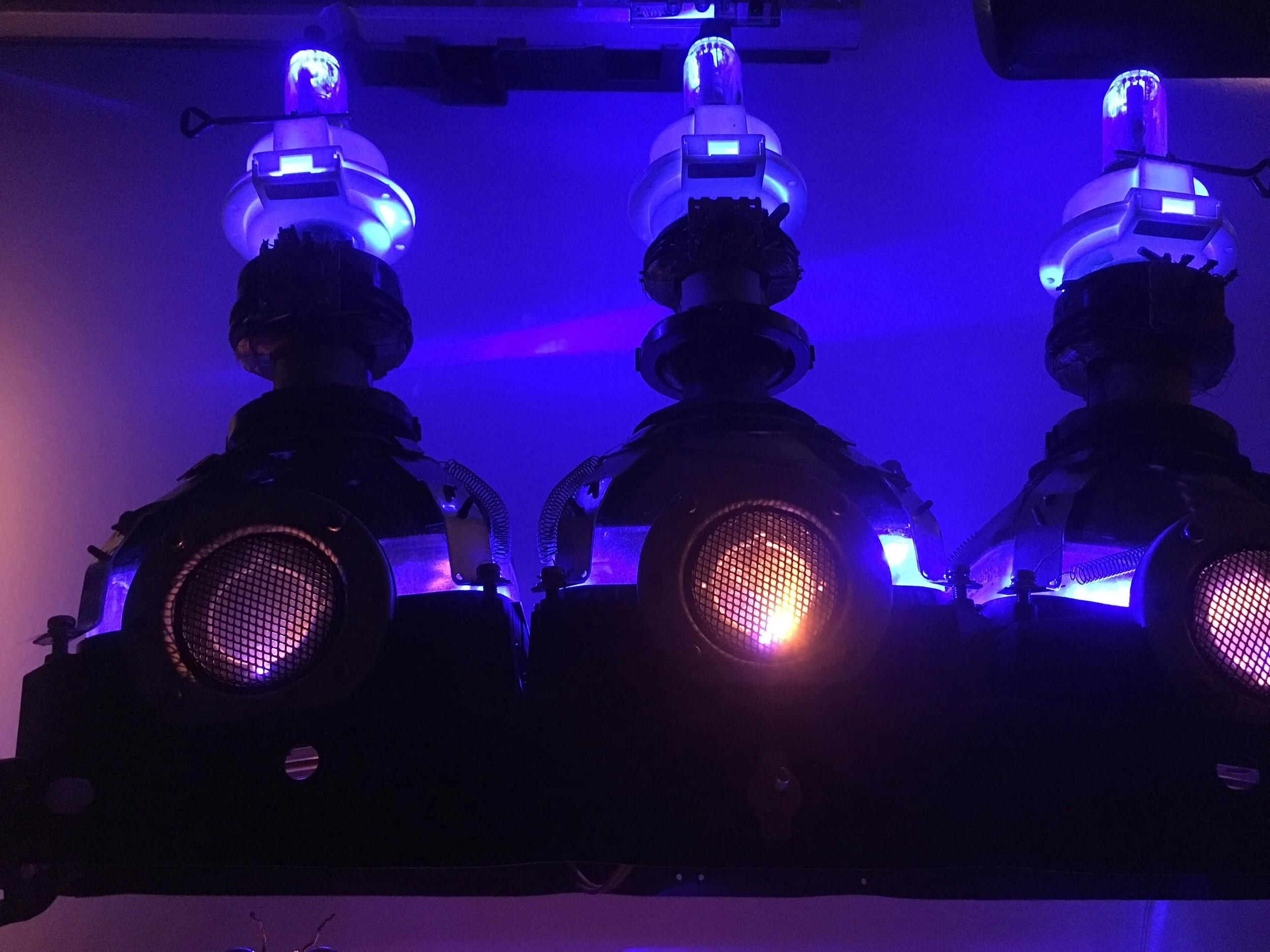 marzo 20 156 copy.JPG