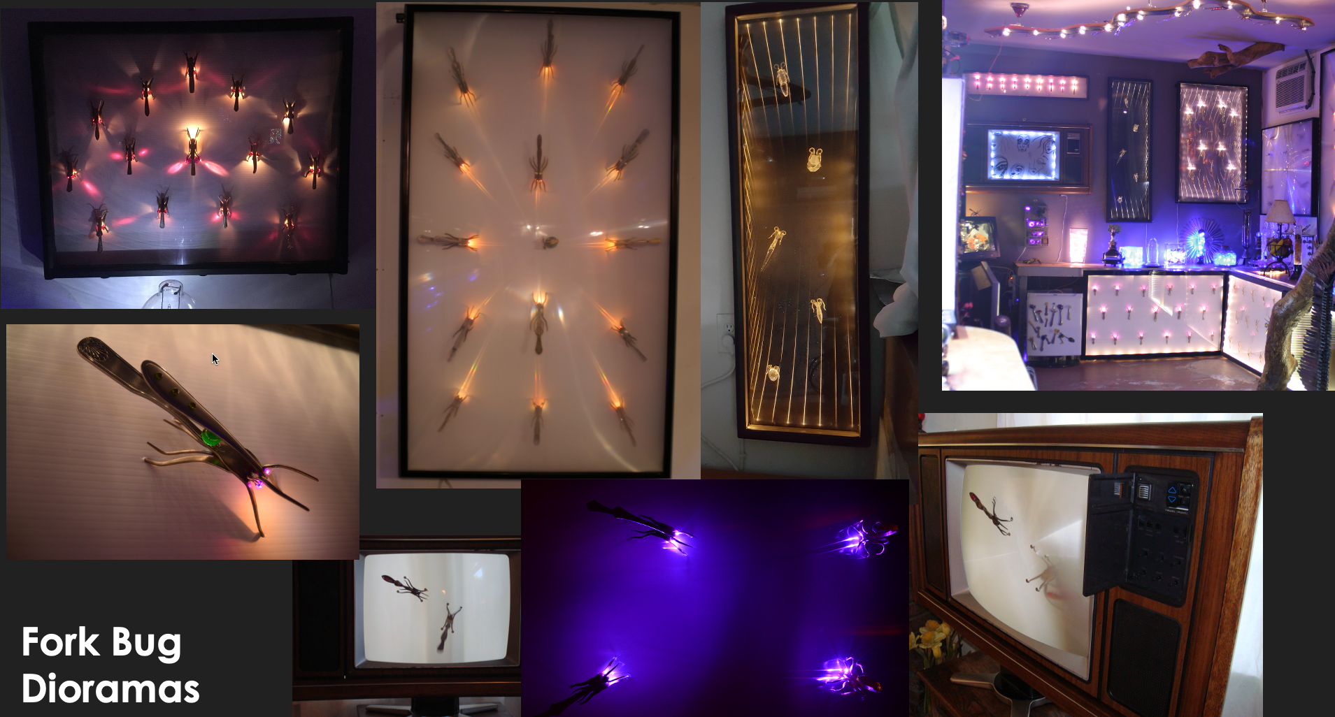 Fork bug dioramas Sabatte.png