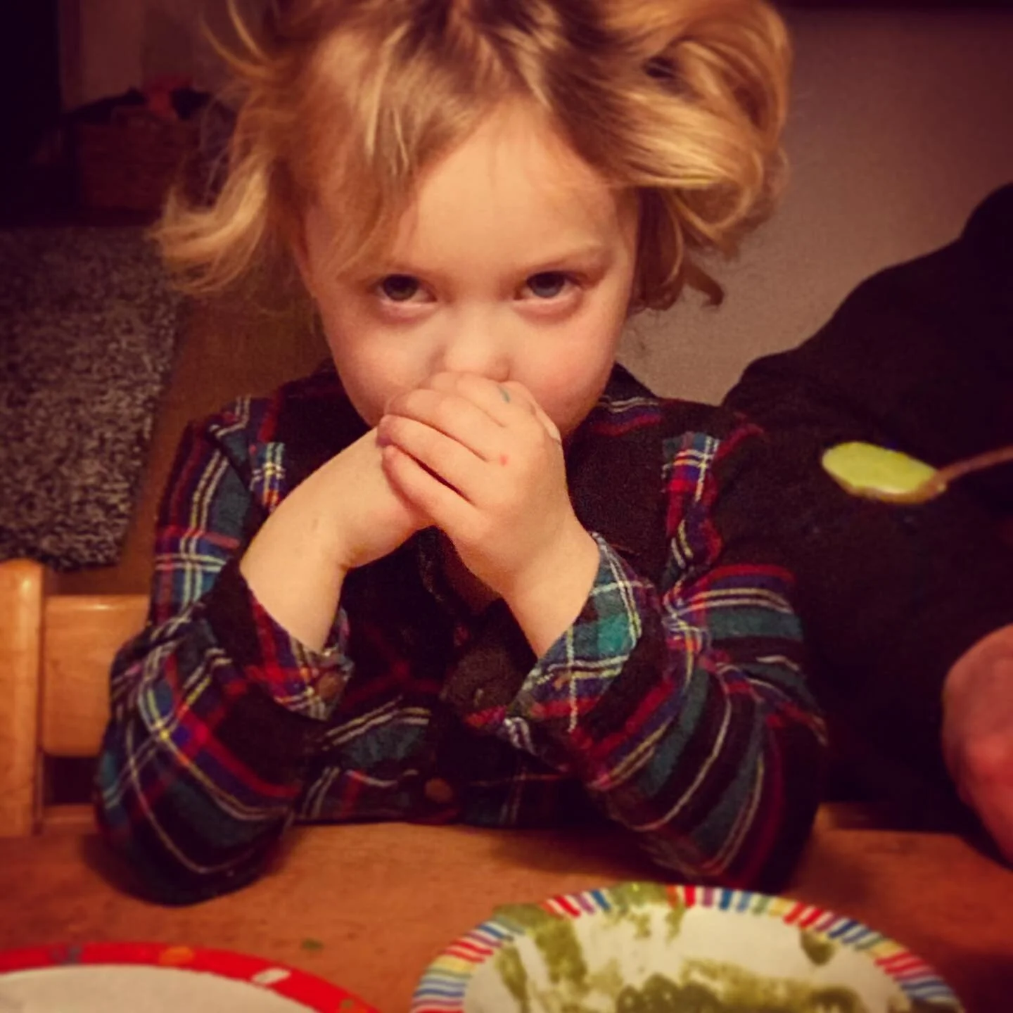 My little Lily....fussiest eater in our family. She absolutely refuses to eat anything green. Tonight was different though. She finished her broccoli soup! Tips for fussy eaters? See below.