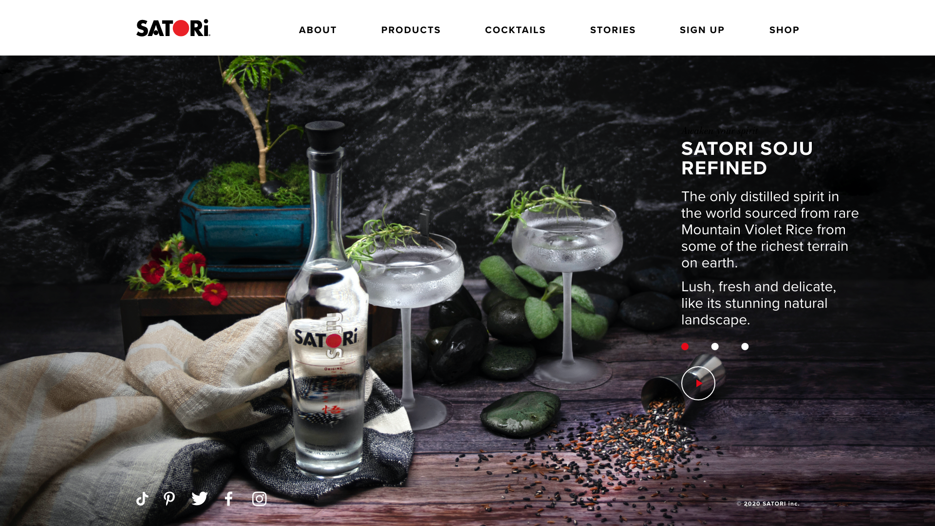 Satori_Homepage.png