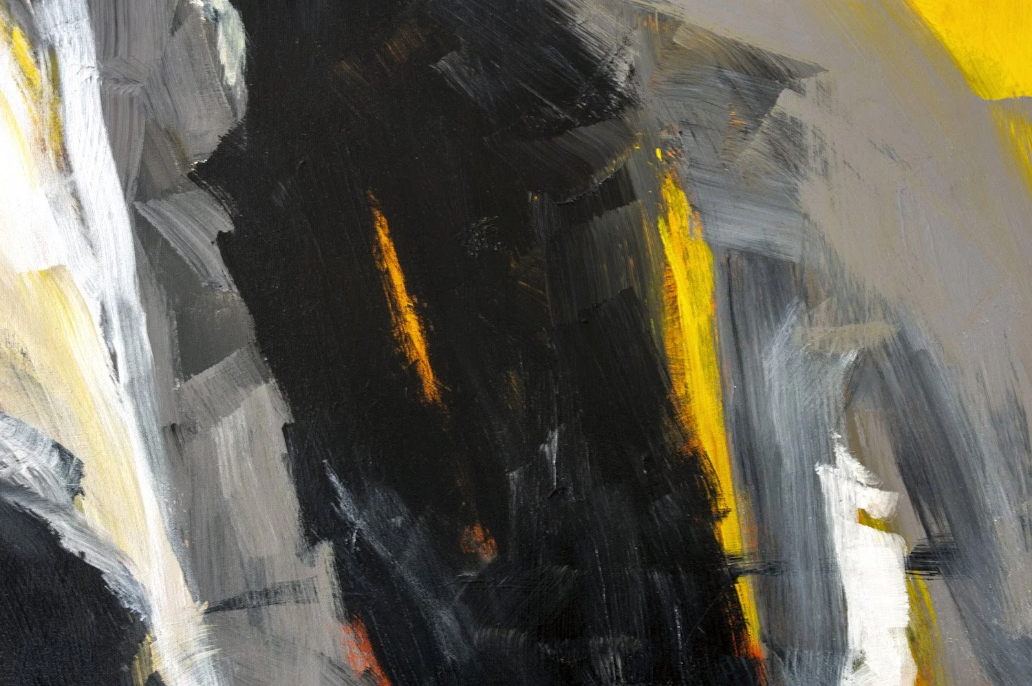 CloseUp_LR 2.jpg