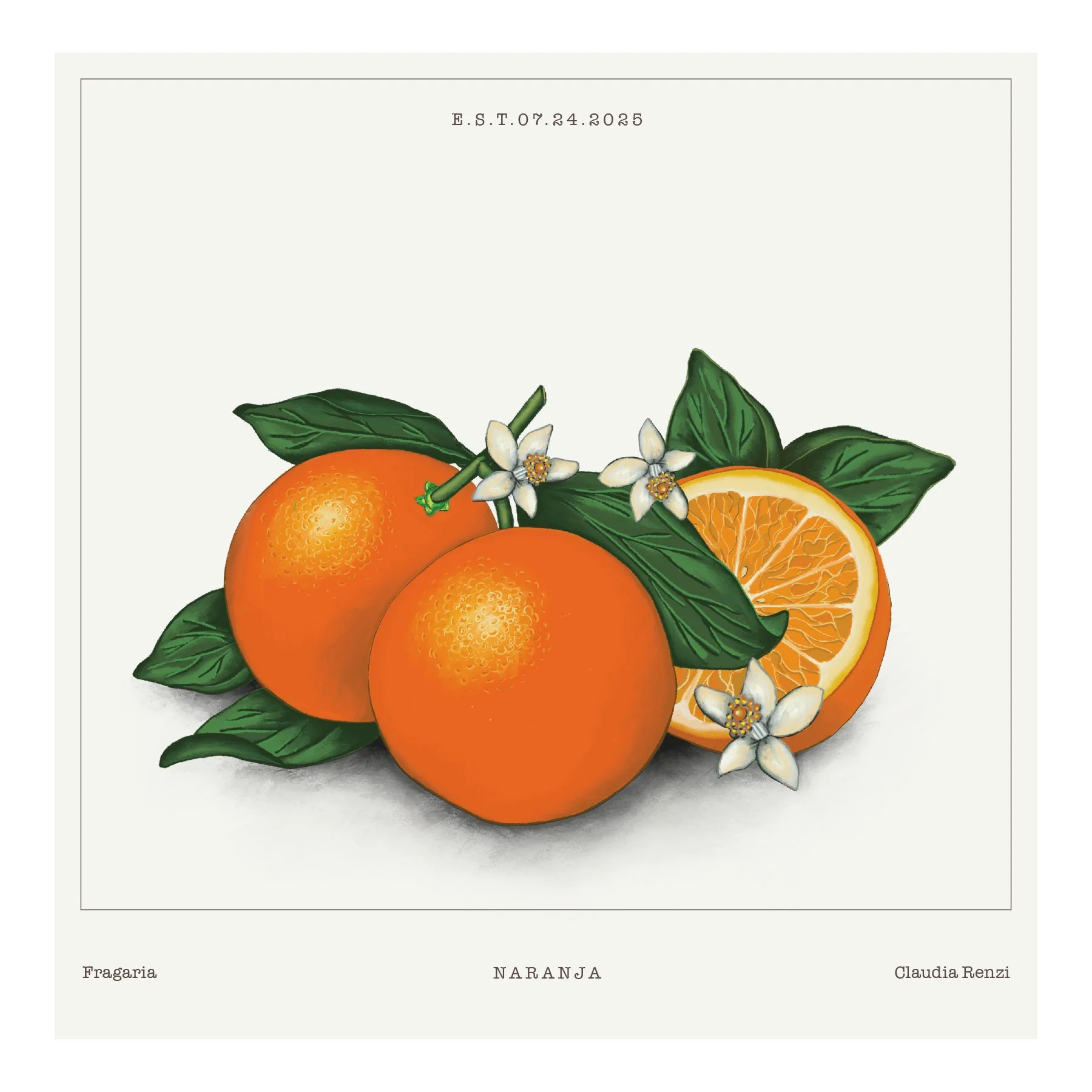 FRUTAS-5.jpg