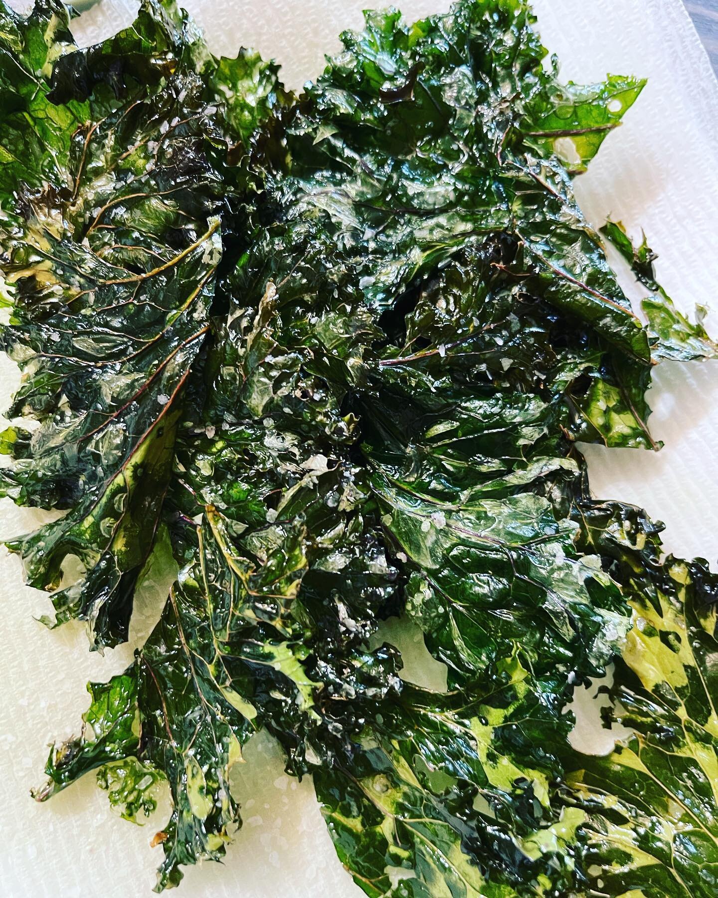 Fried Kale with sea salt, harvested from our garden 🌿 #gardening #sustainable #garden #ourownfood #kale #friedkale #yum