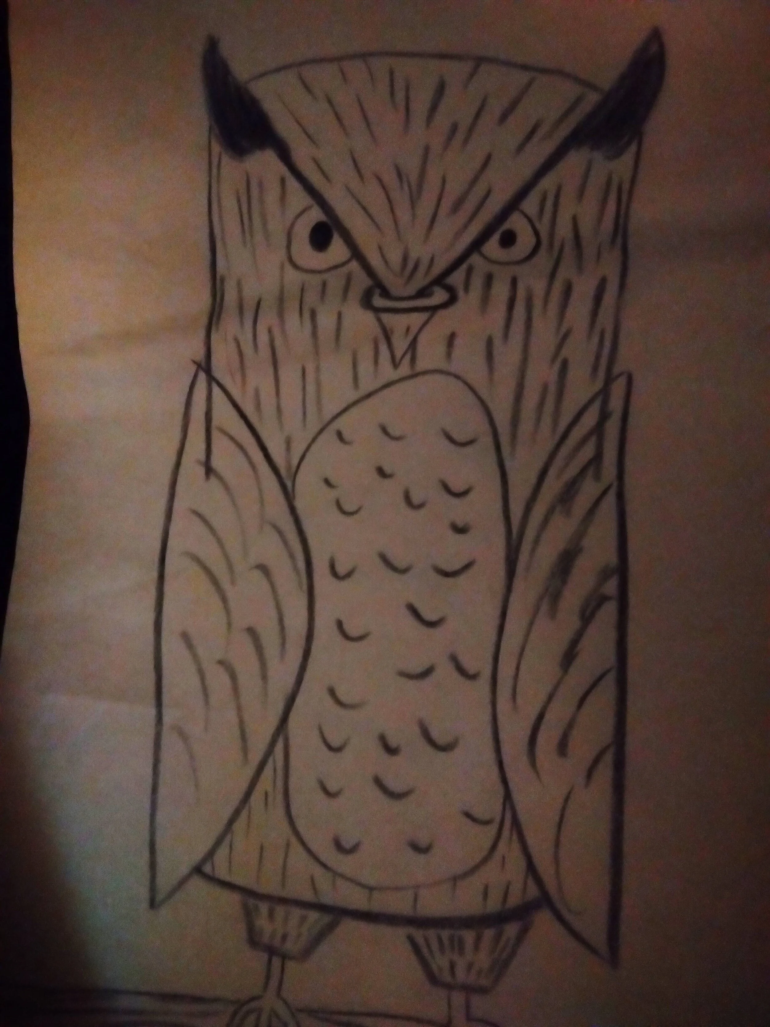 Owl