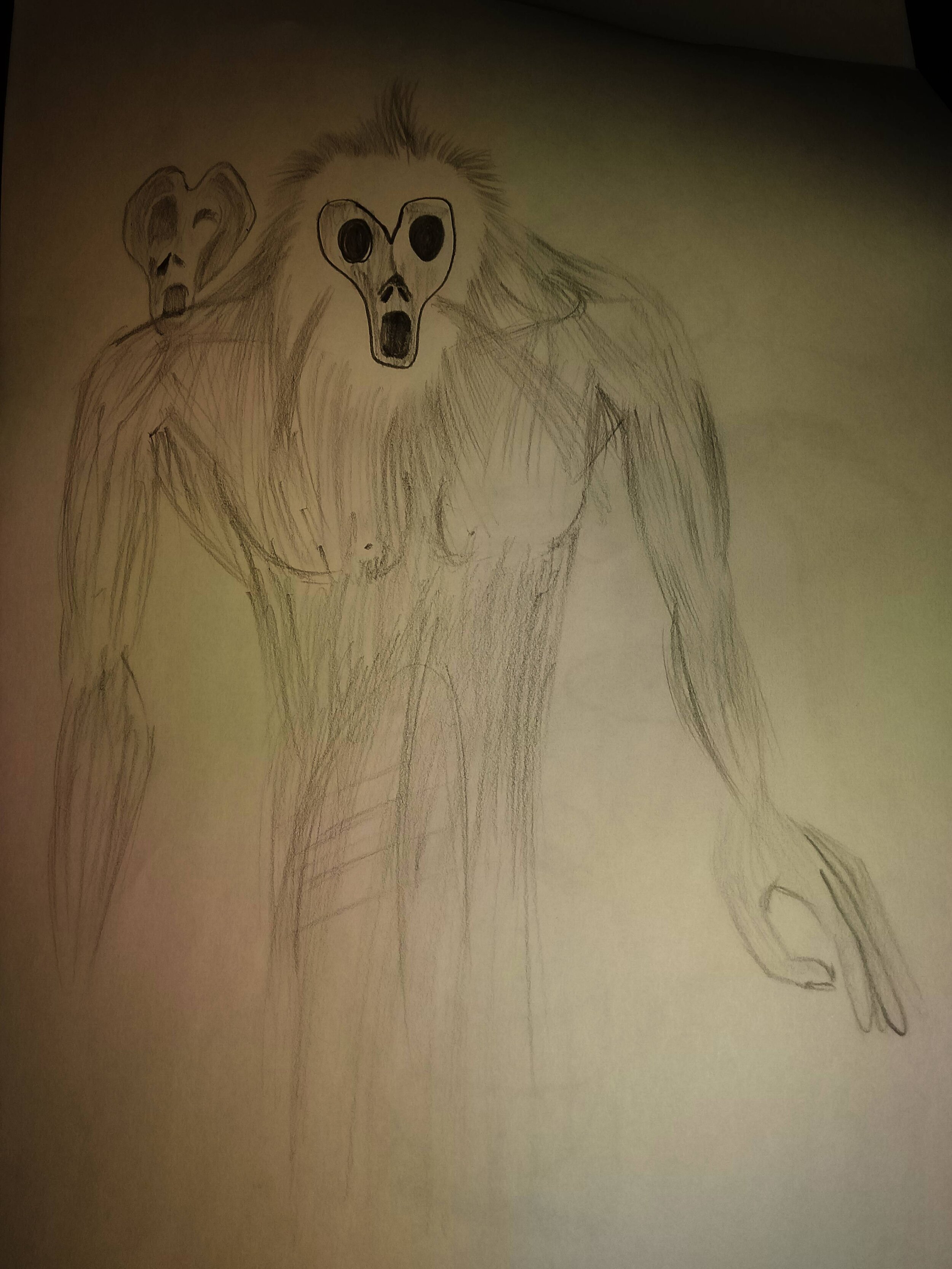 Yeti