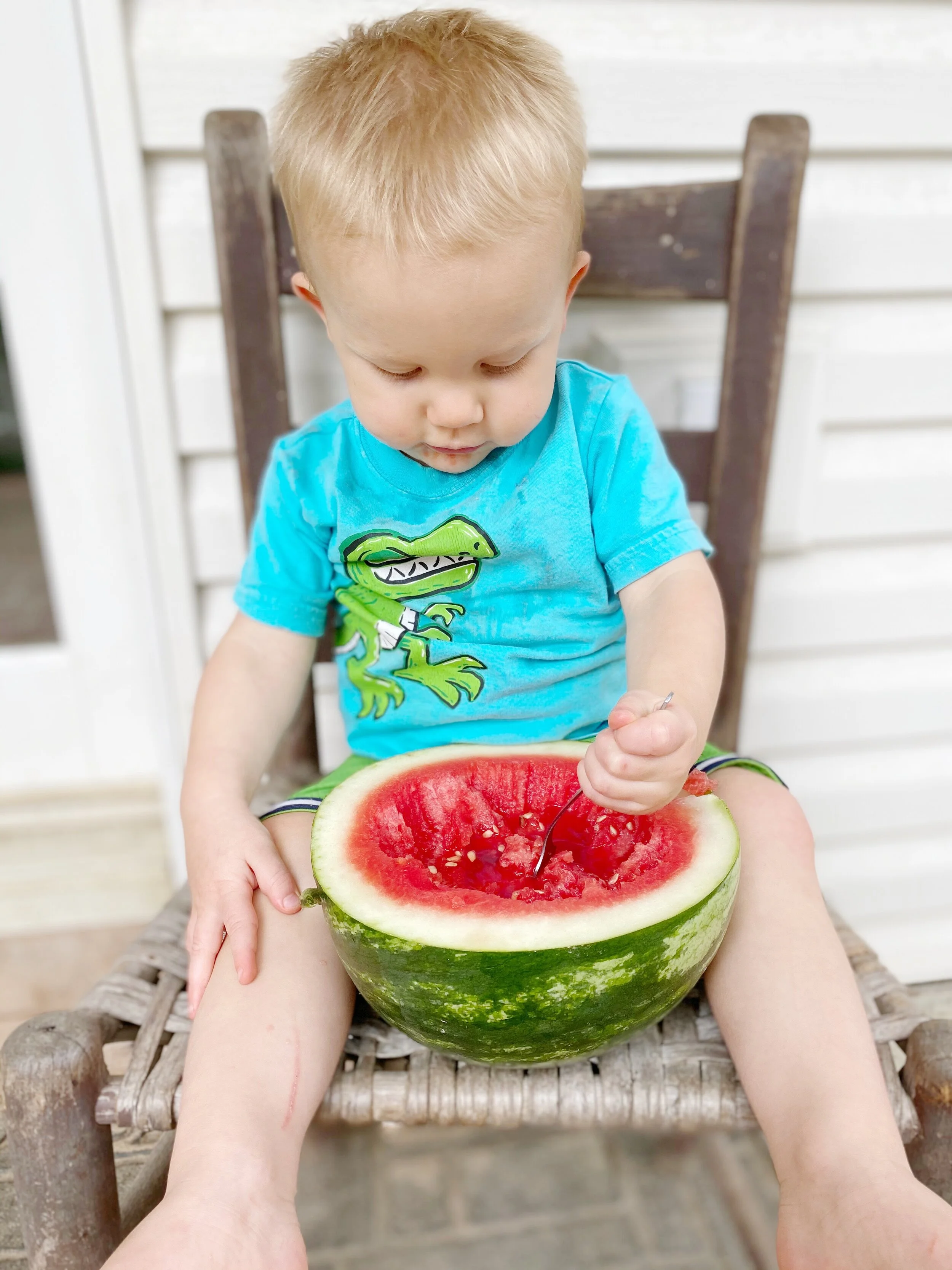Watermelon Harvest