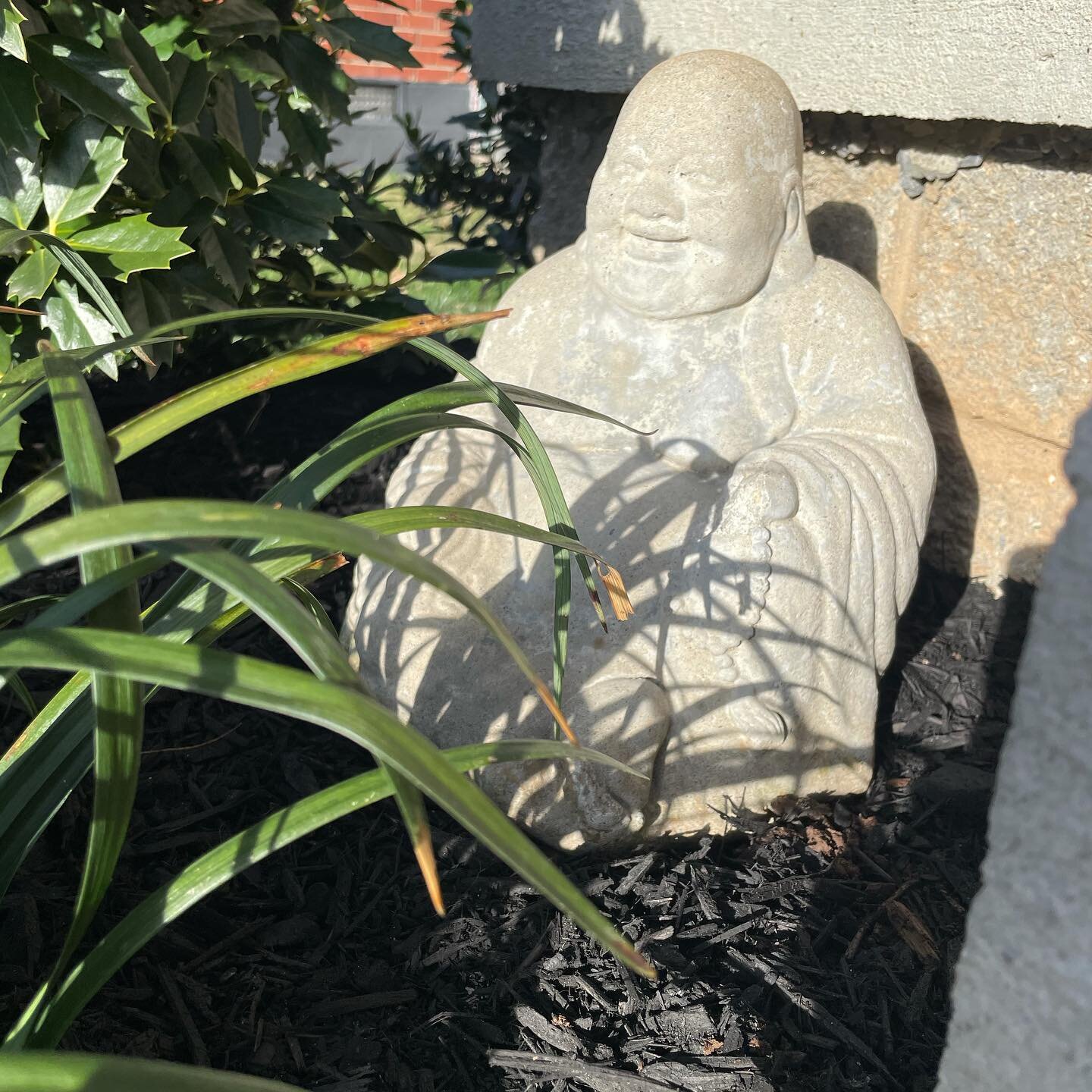 Some fresh mulch for the Buddha to rest in. Spring is almost here. It&rsquo;s time to give your landscaping some attention. 🧘🏻🙌🏼
&bull;
&bull;
&bull;
&bull;
&bull;
#mulching 
#landscapebeds 
#prunning 
#shrubs 
#nashvillelandscaping