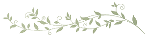 leaf divider.png