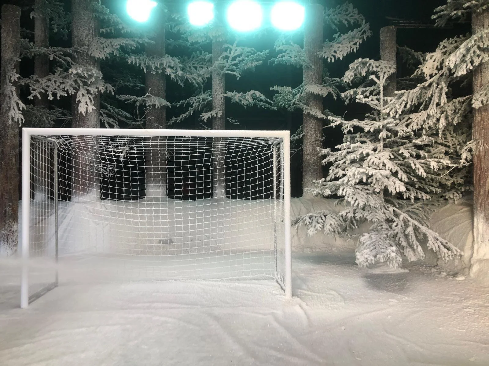 WhatsApp Image 2026-01-29 at 13.56.17 (5).jpeg