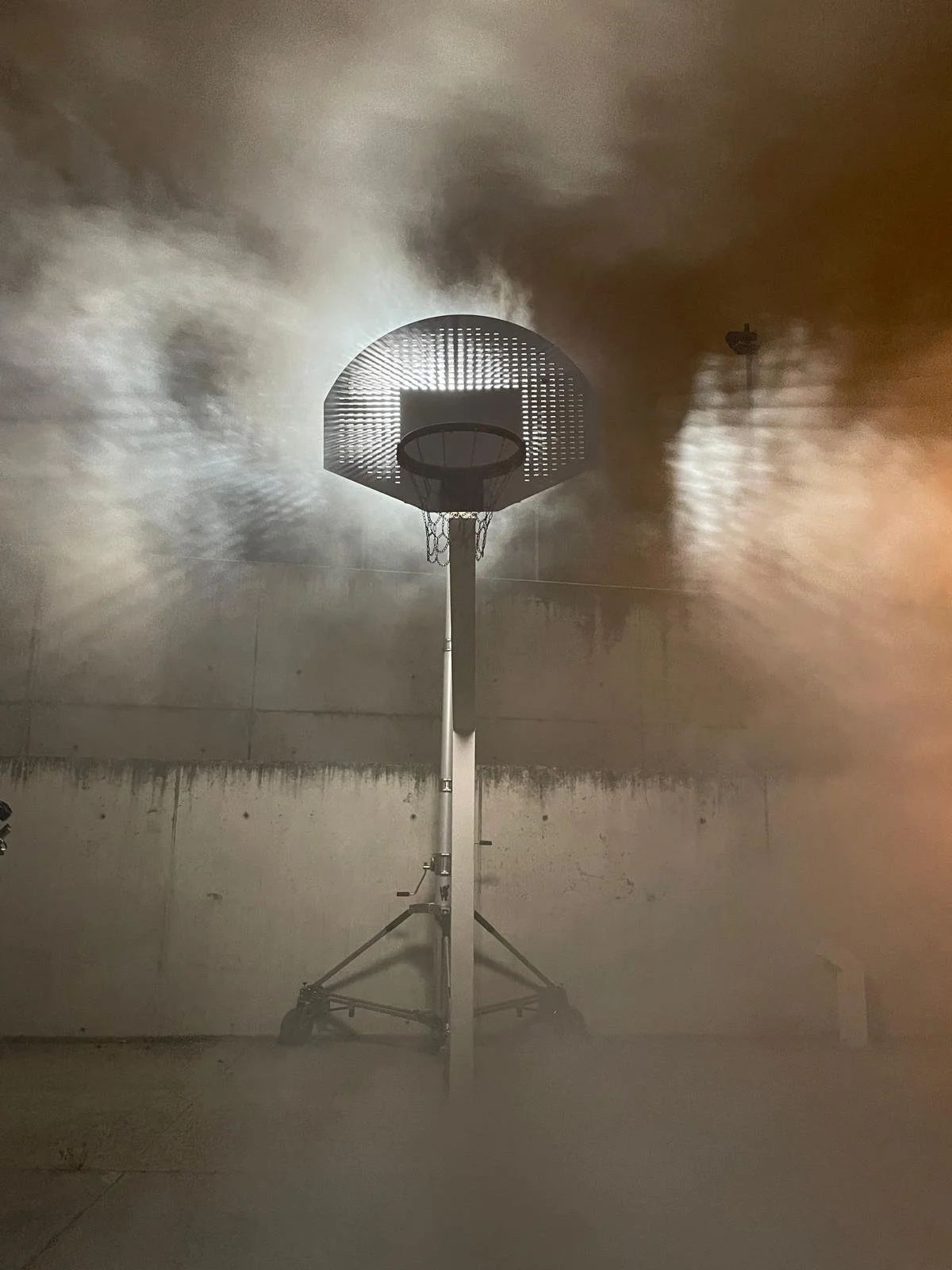 WhatsApp Image 2026-01-29 at 13.56.18 (1).jpeg