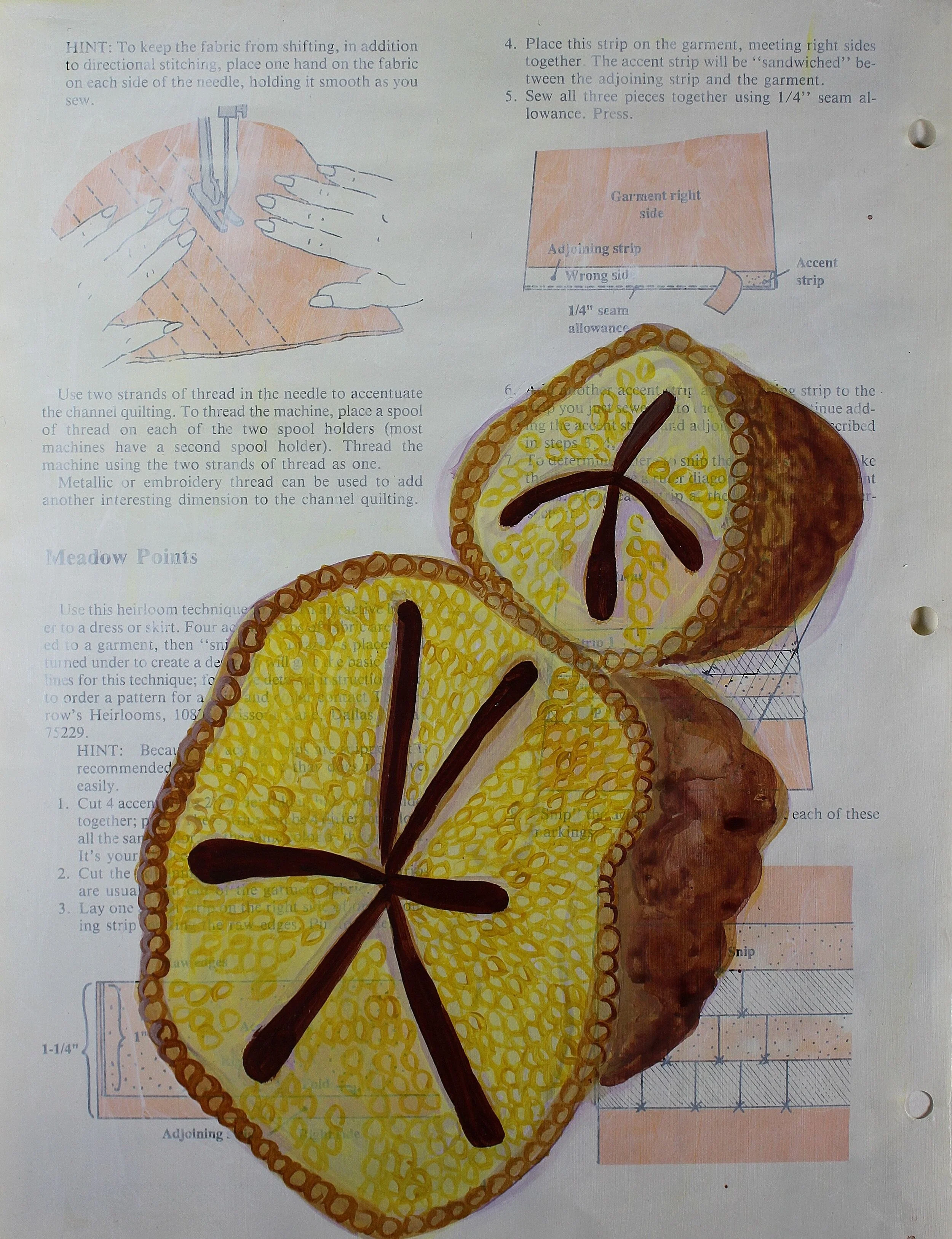 Sebceous Glands, 11 x 8.5"